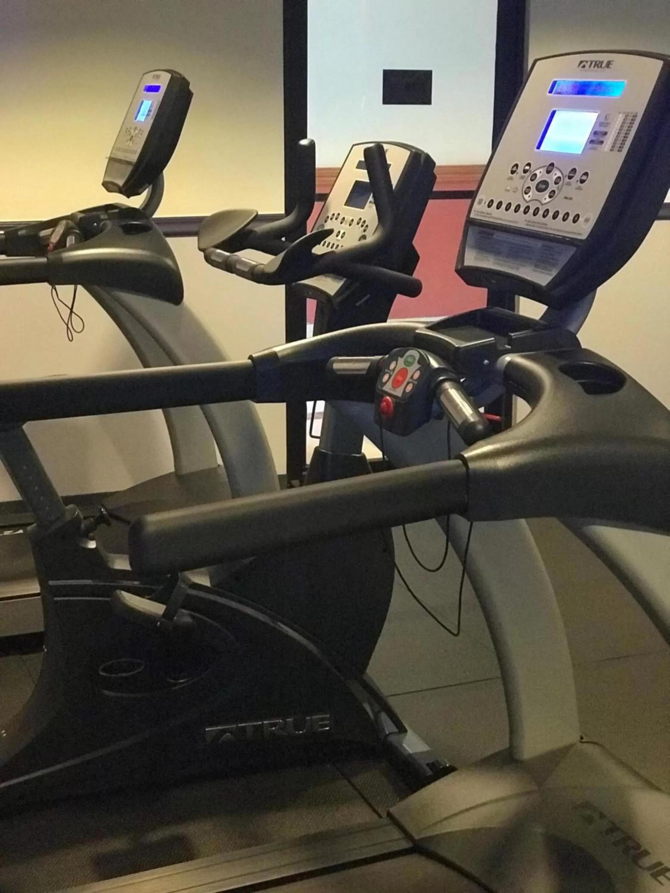 Fitness centre/facilities in Meadowlands Plaza Hotel