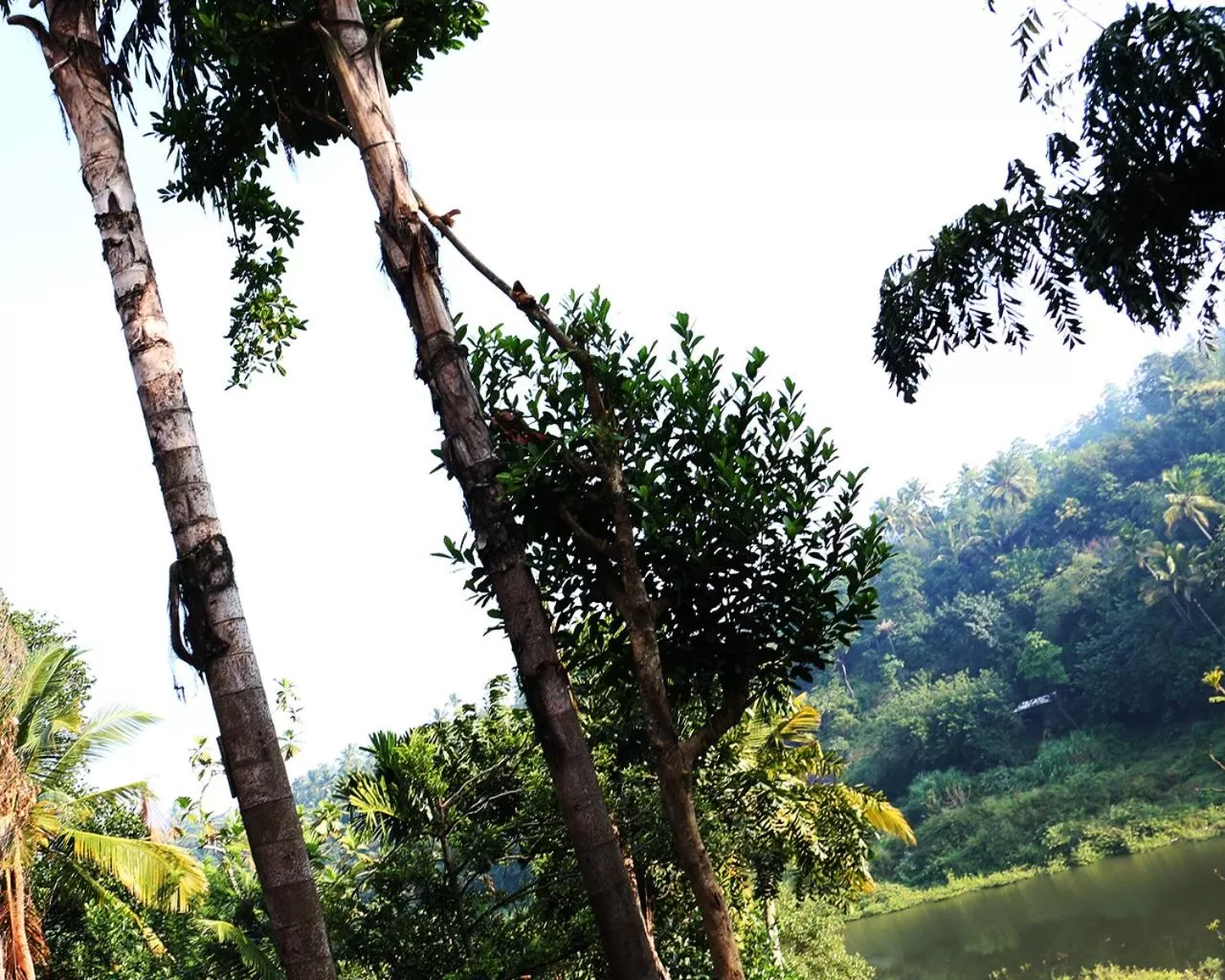 Property building in Kandy Rivers Edge Nature Resort