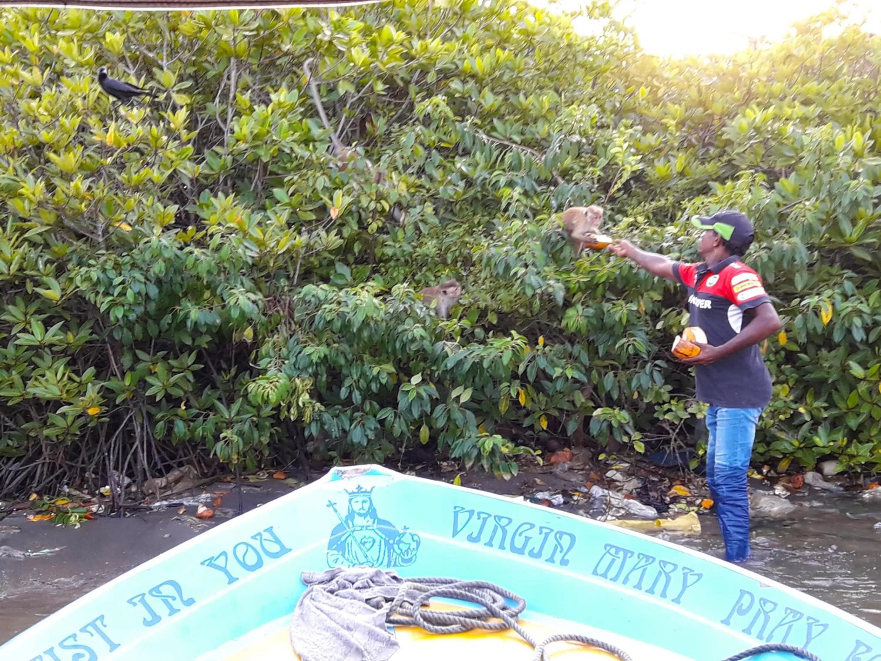 Activities in Nico Lagoon Hotel