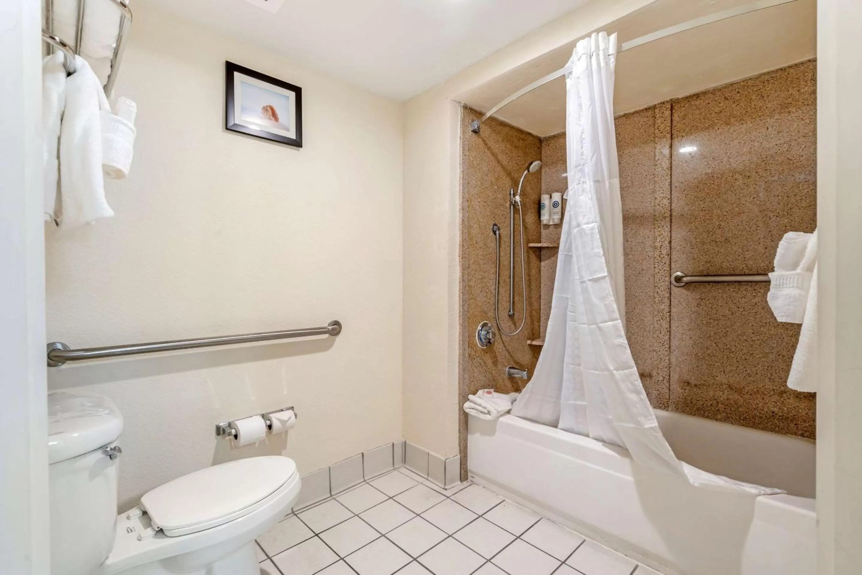 Bedroom in Comfort Inn Kissimmee-Lake Buena Vista South