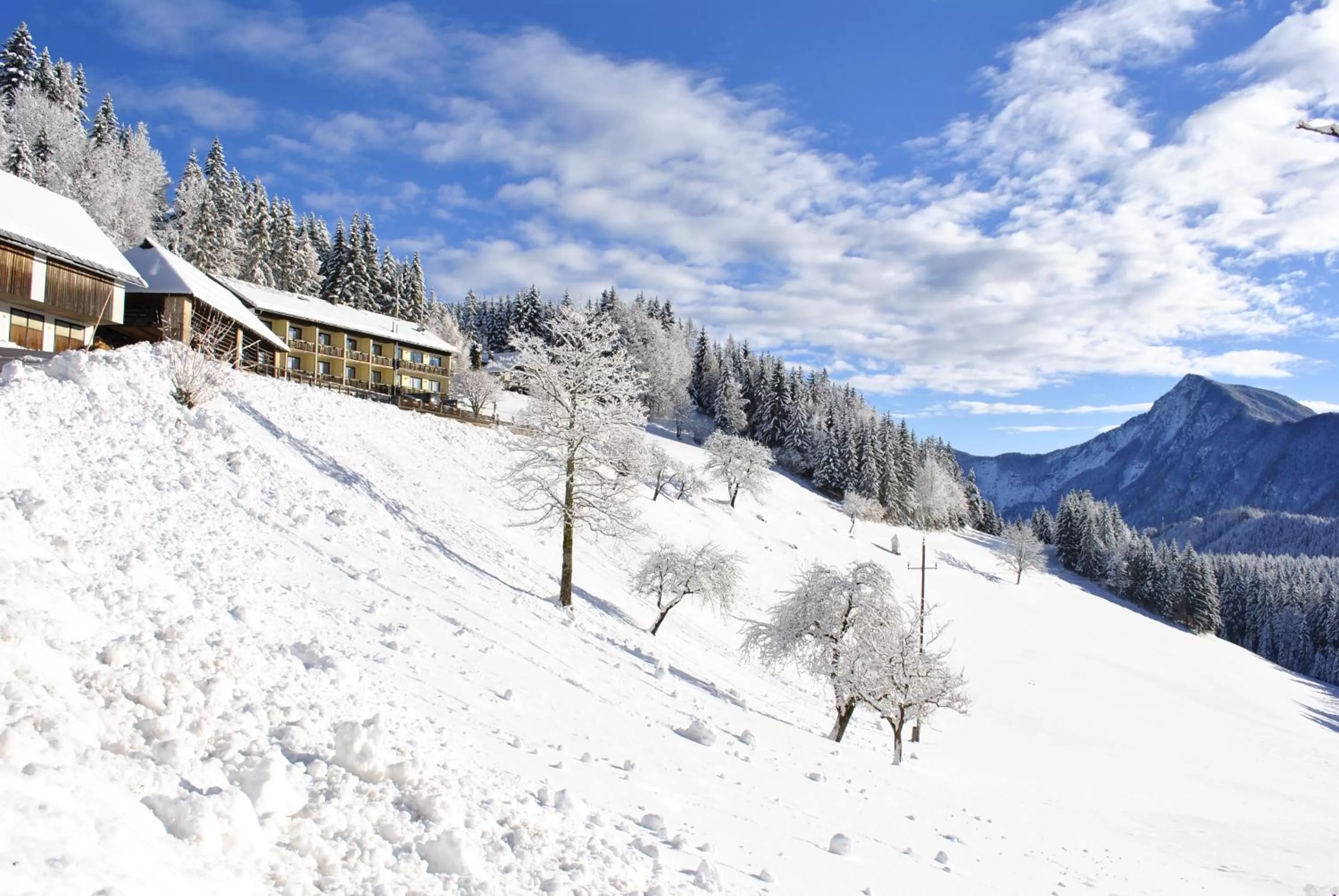 Property building in Bed&Breakfast Lausegger