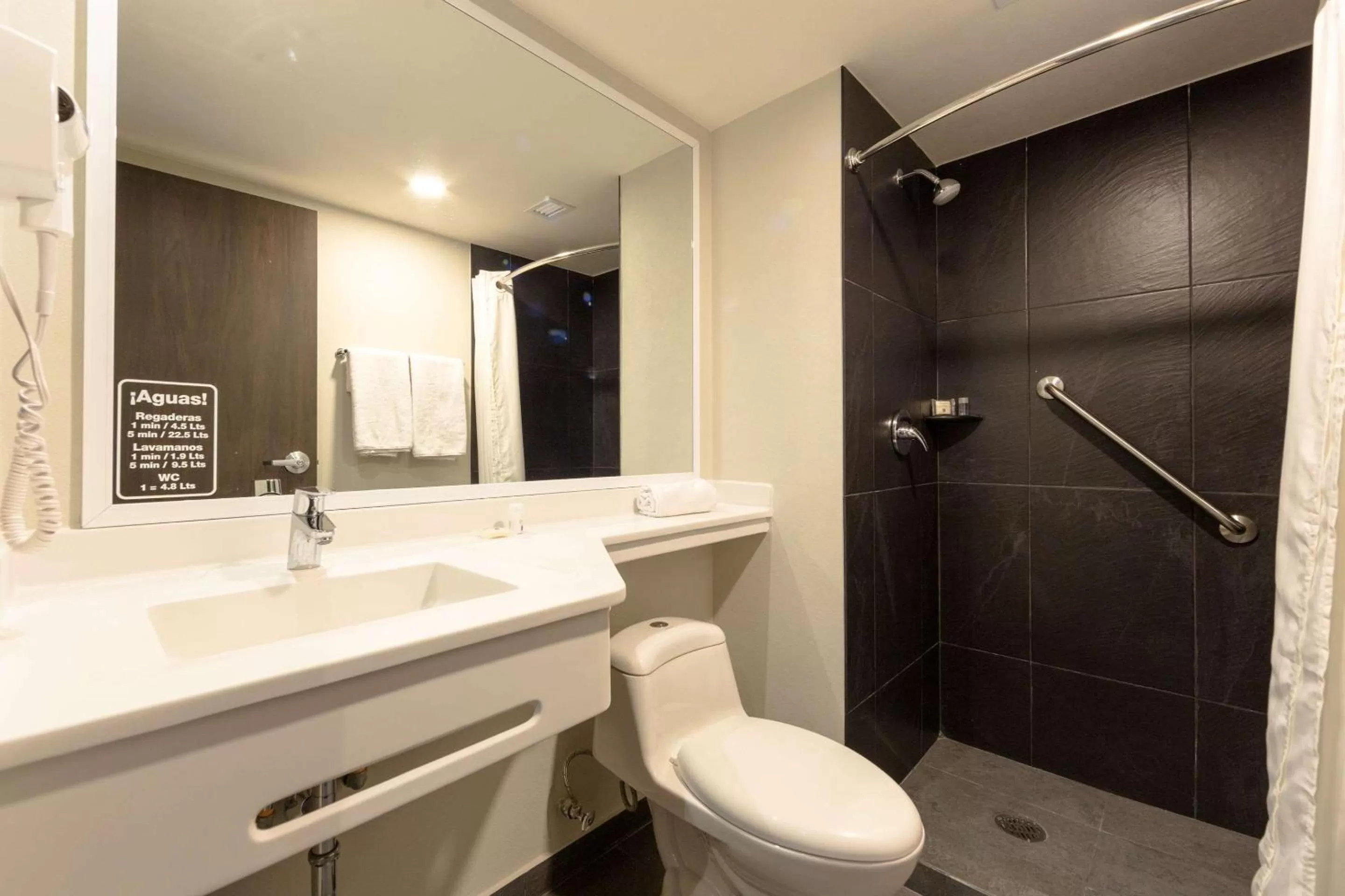 Bedroom in Comfort Inn Delicias