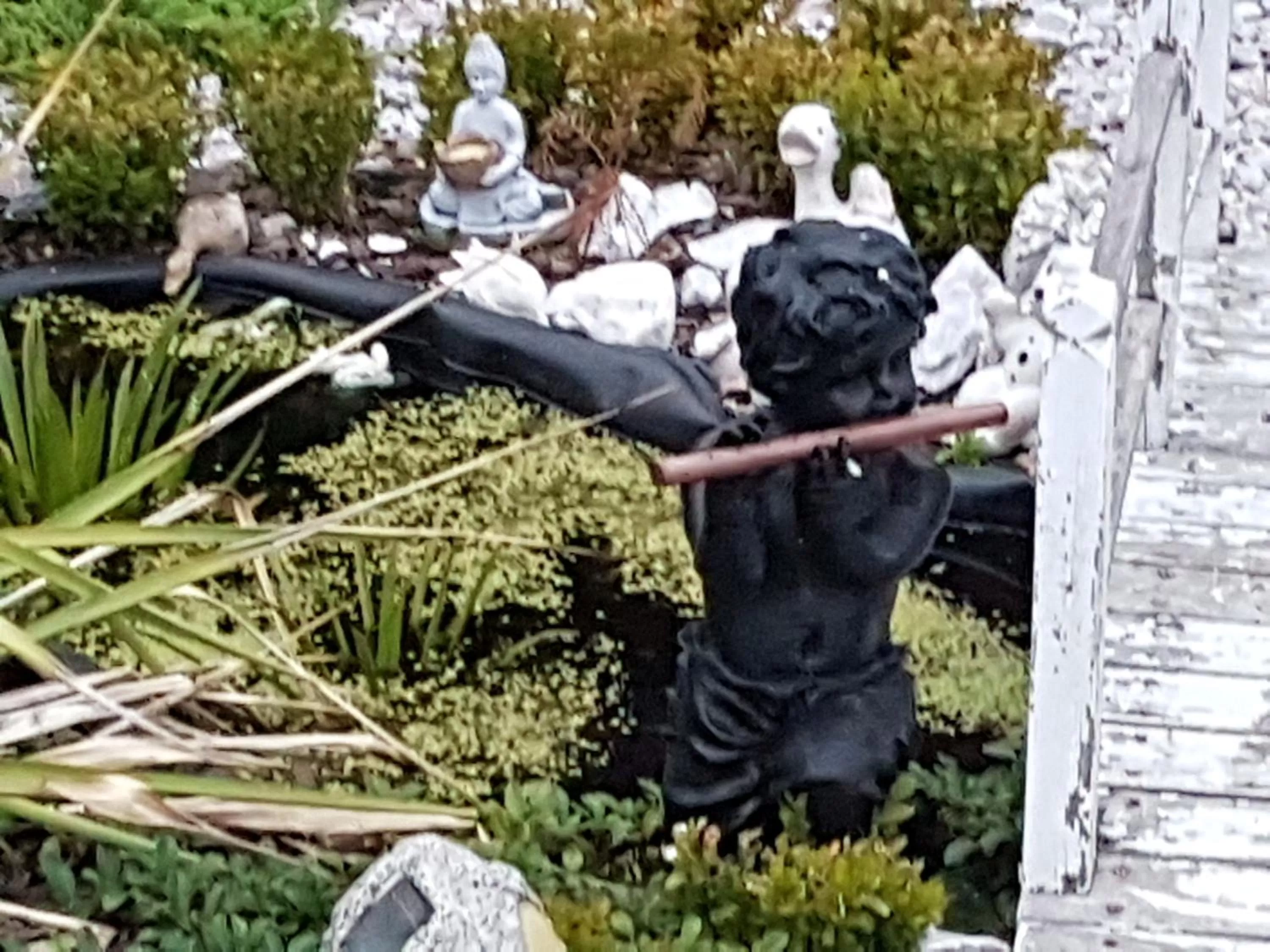 Natural landscape in Noclegi Biała Róża