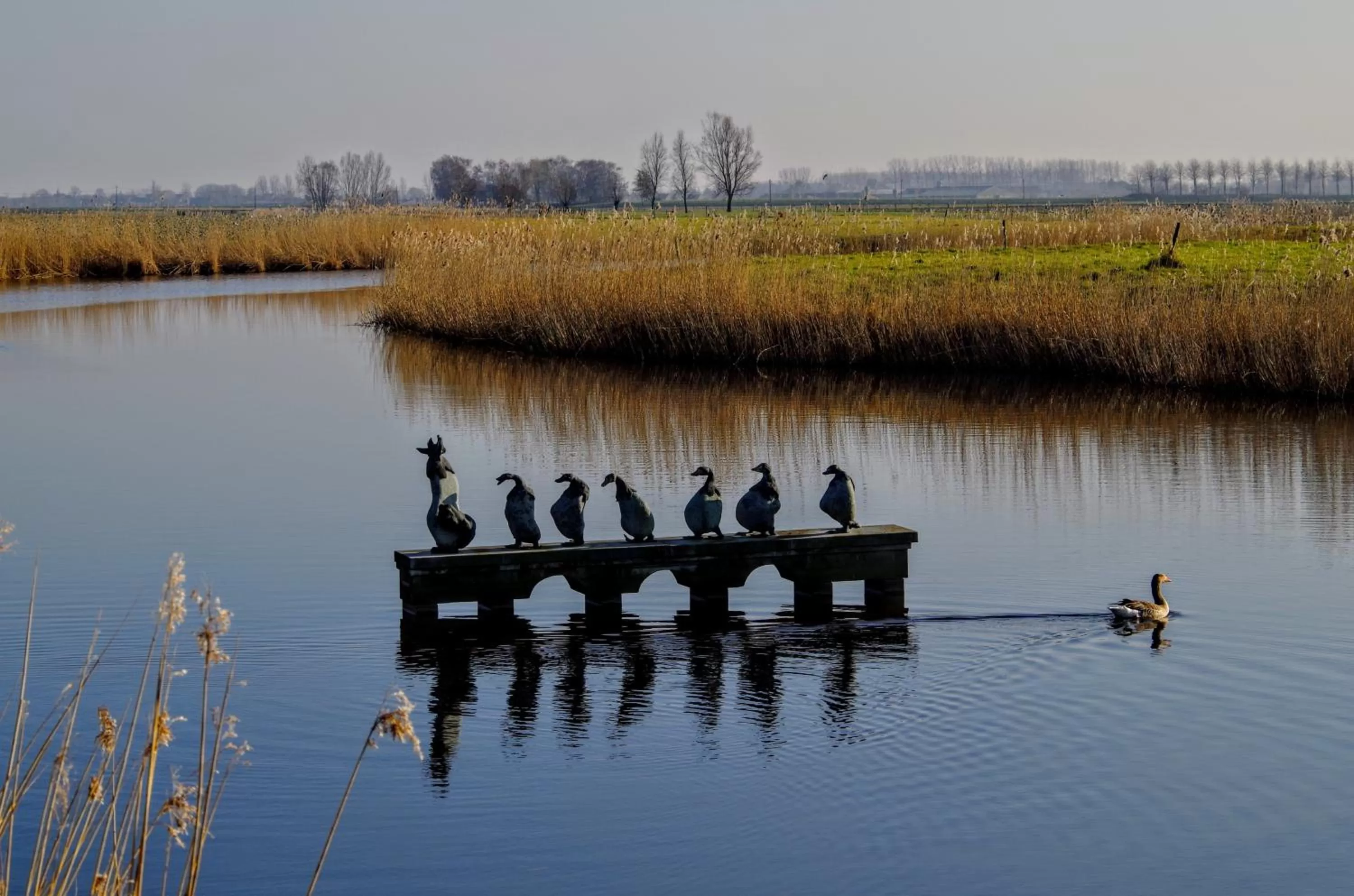 Natural landscape in Boutique hotel Shamon