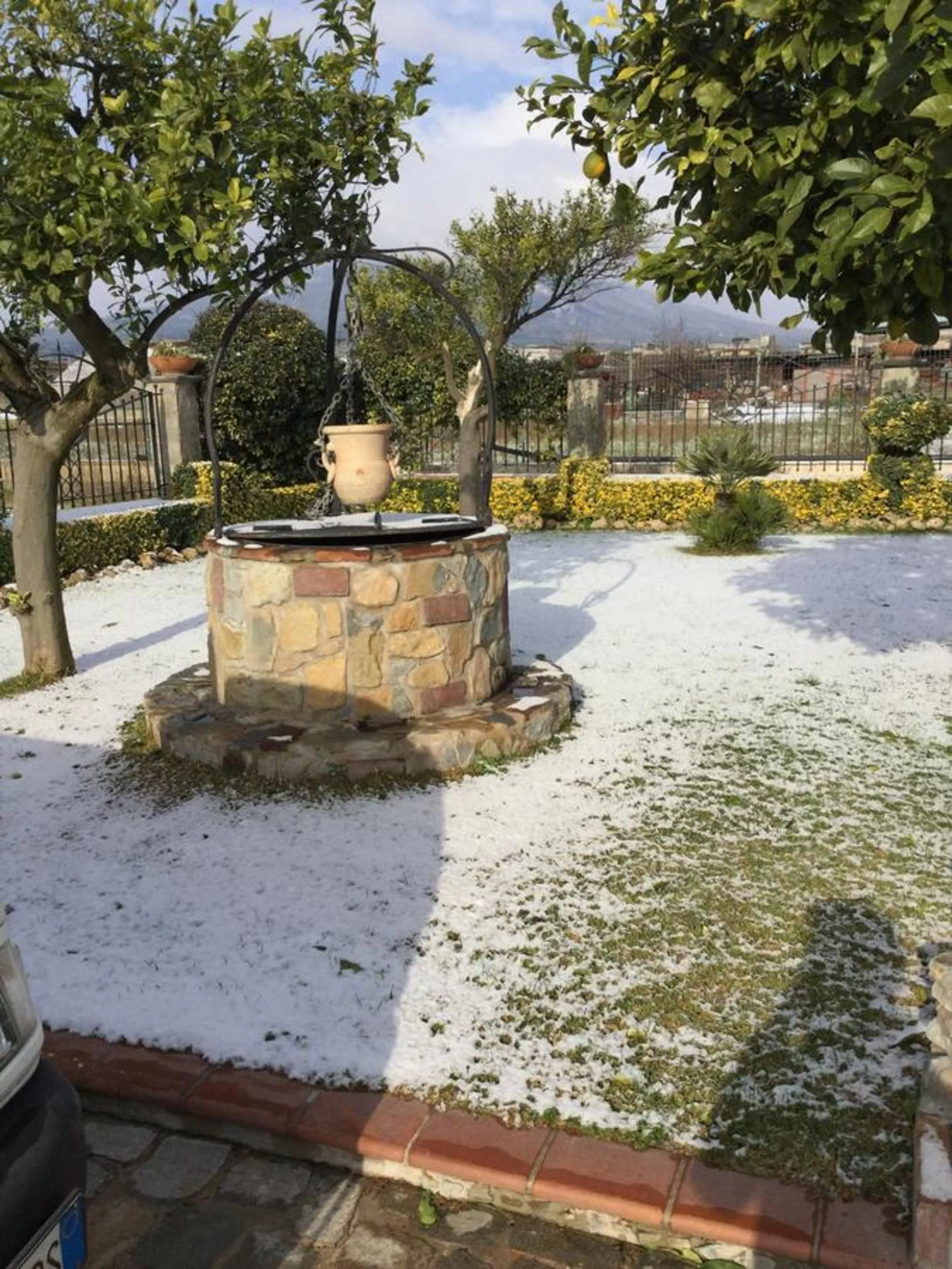 Garden, Swimming Pool in B&B Villa Lura Pompei