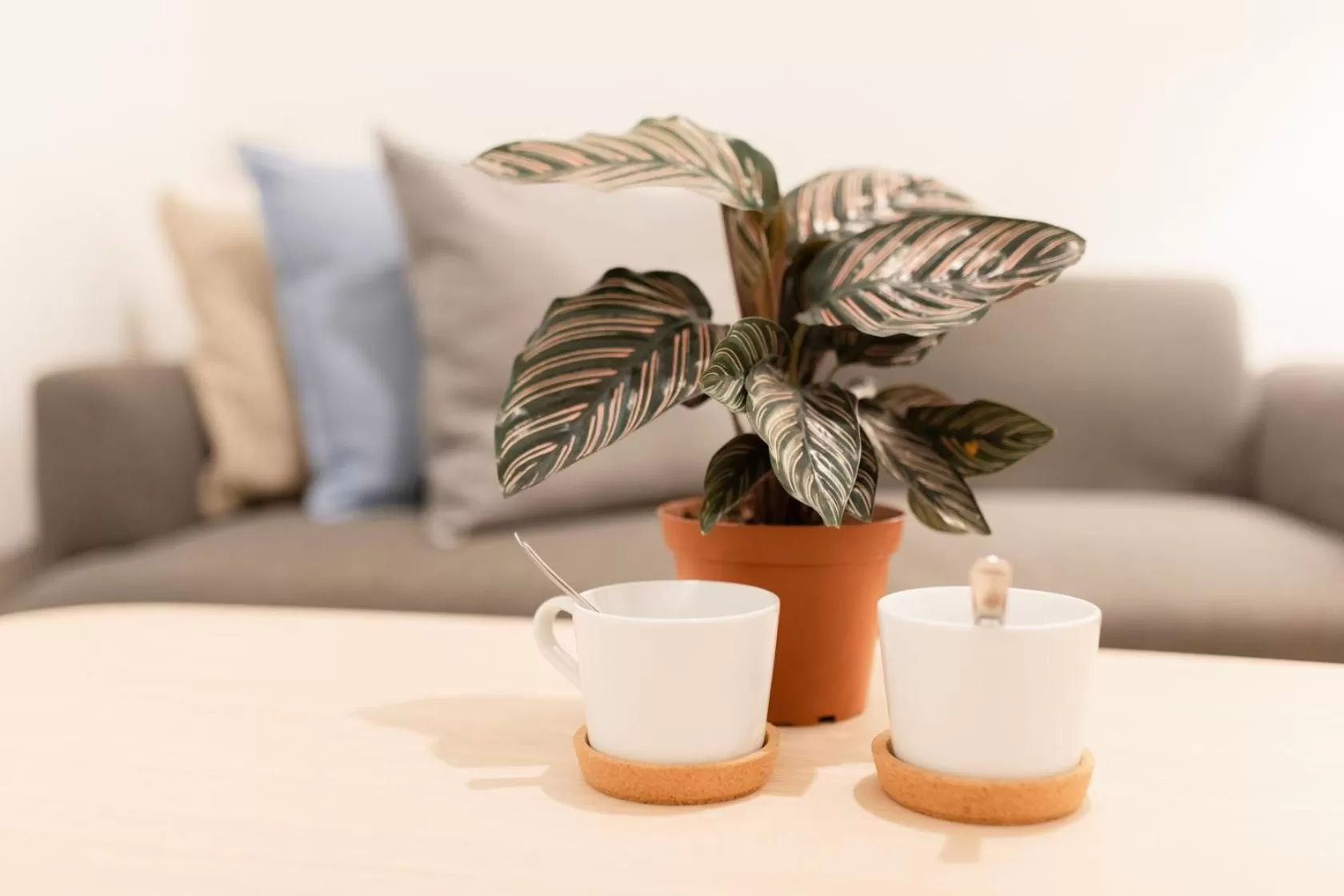 Living room in Hotel PaPa Bangkok Siriraj