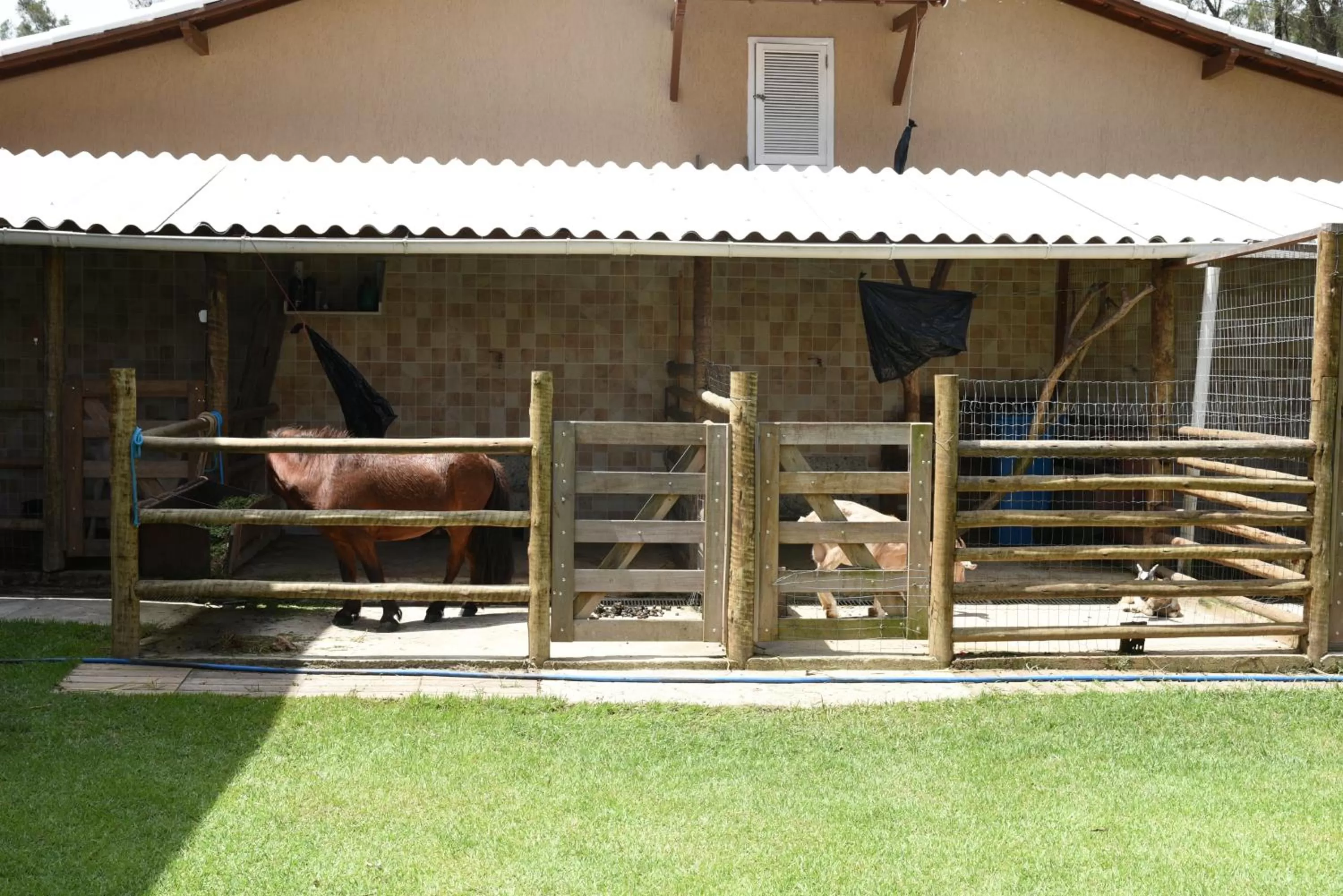 Animals in Pousada Fazendinha Unamar