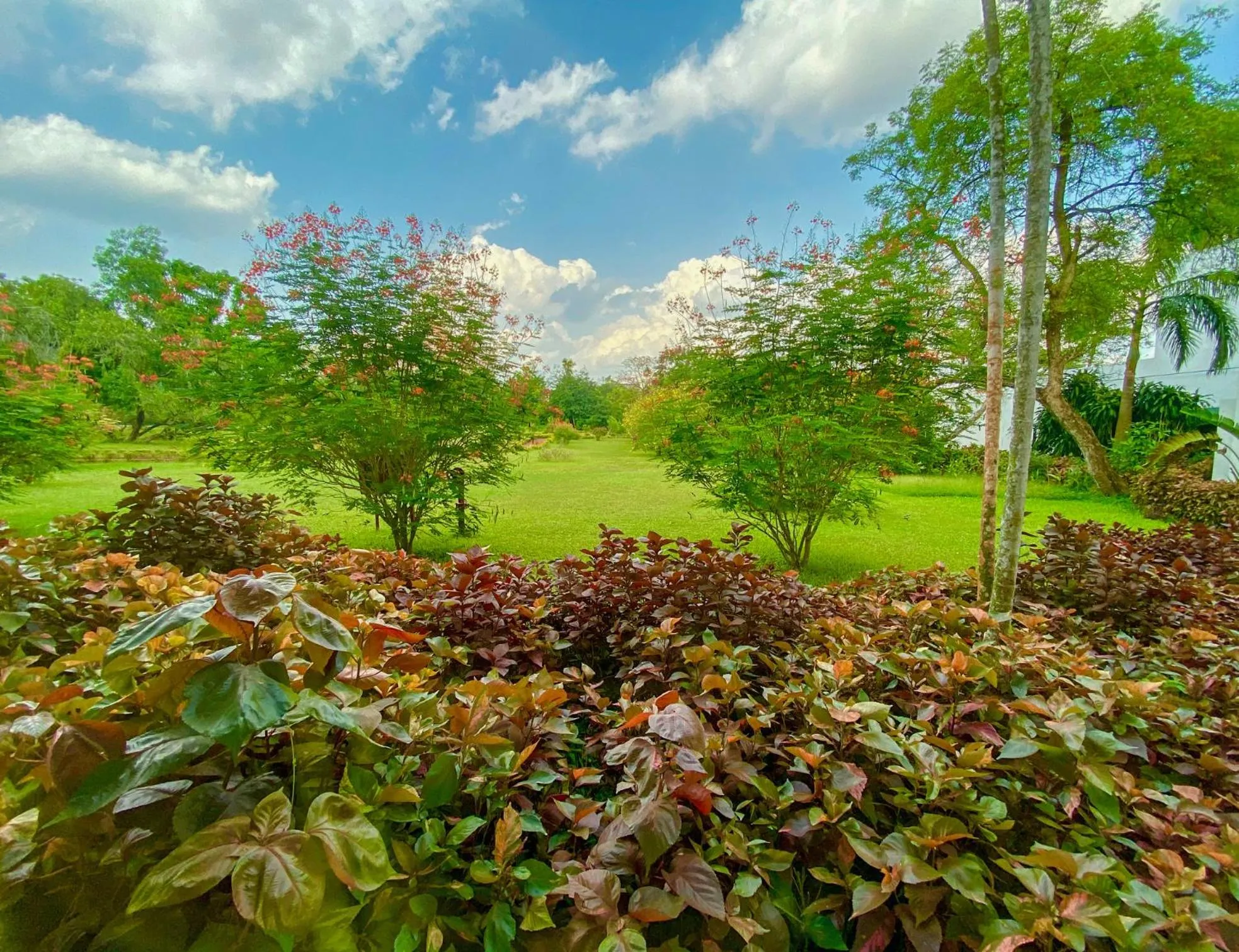 Natural landscape in Trident Bhubaneswar