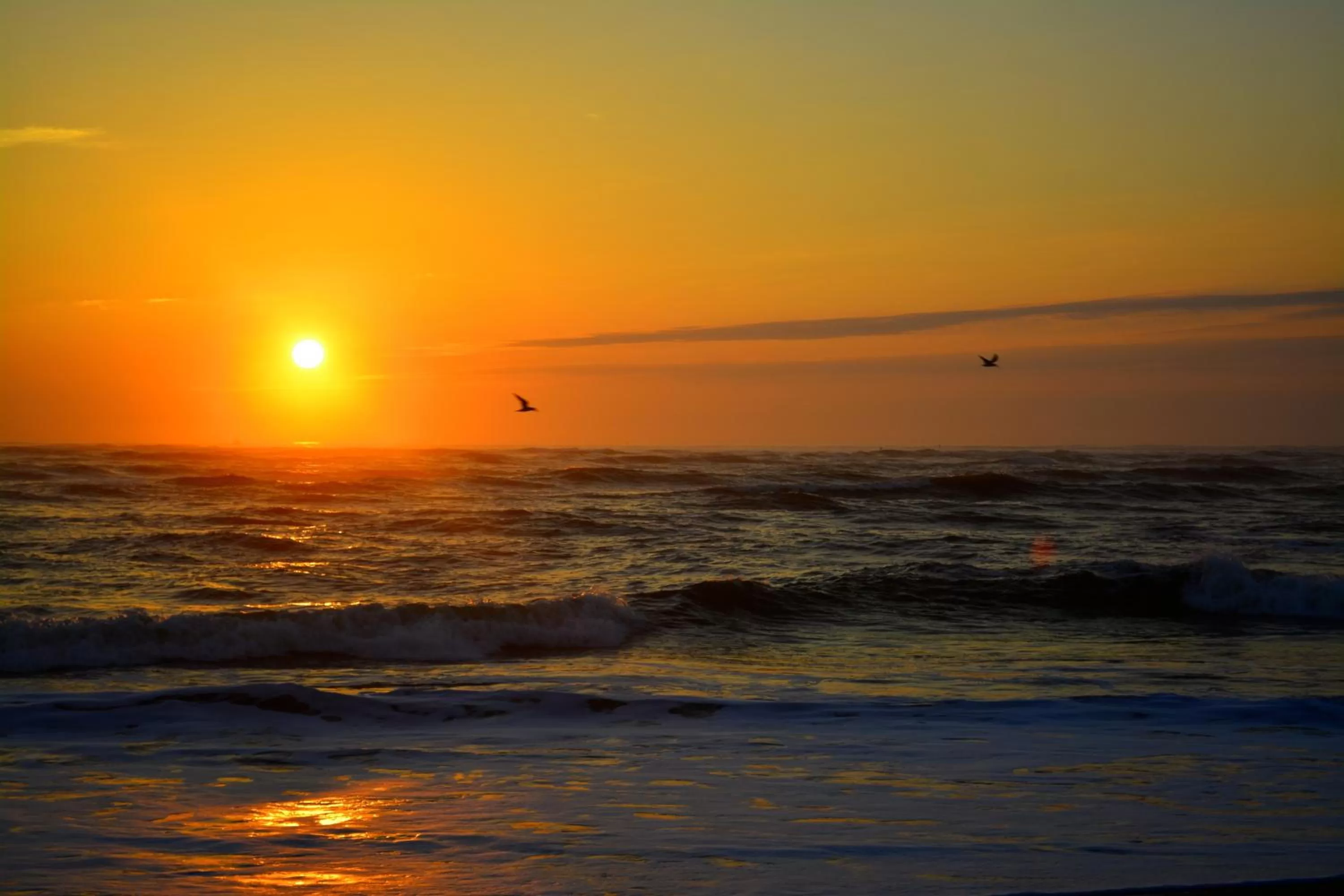 Natural landscape, Sunrise/Sunset in The Saint Augustine Beach House