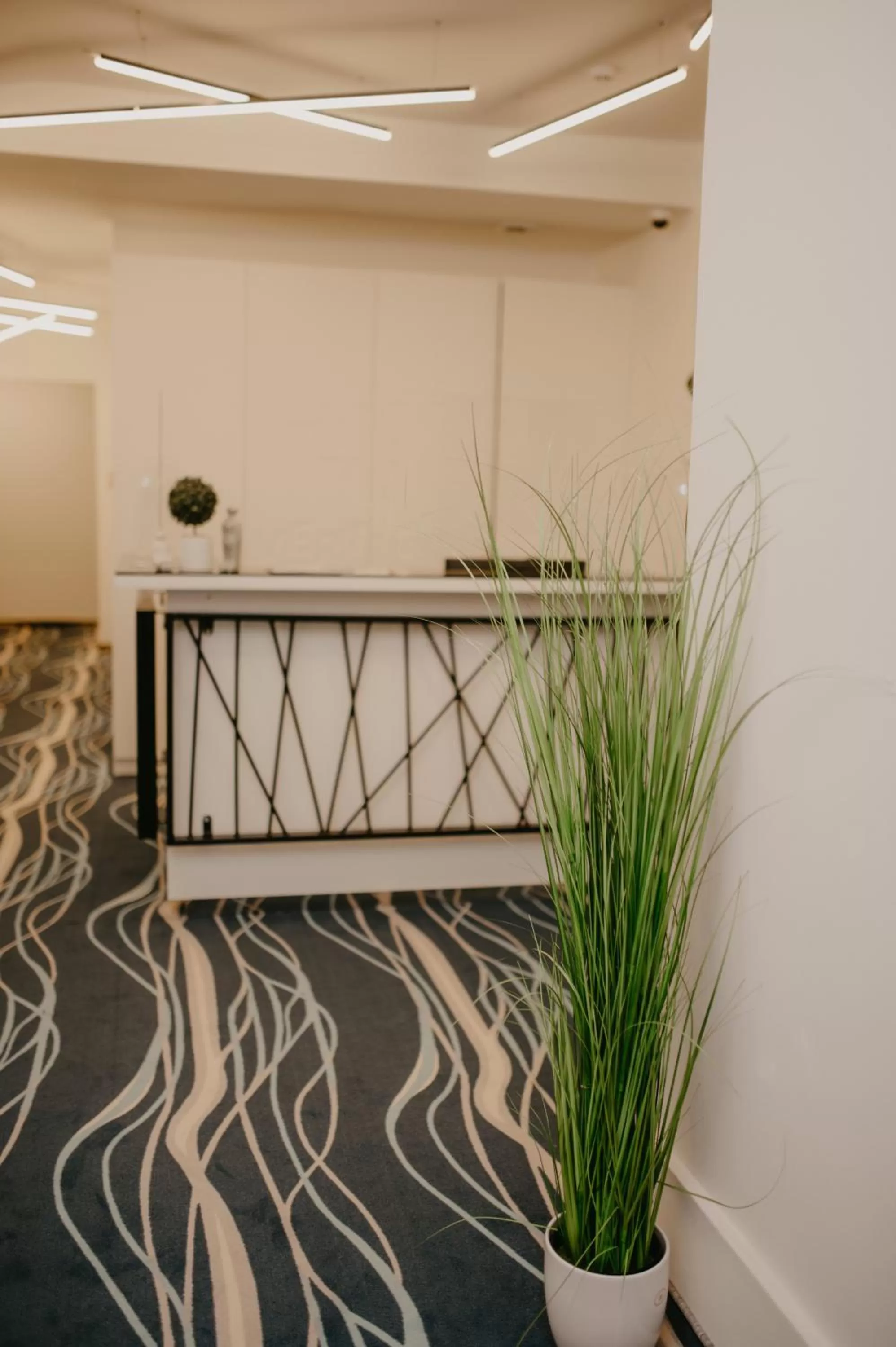 Lobby or reception in Hotel Vertigos