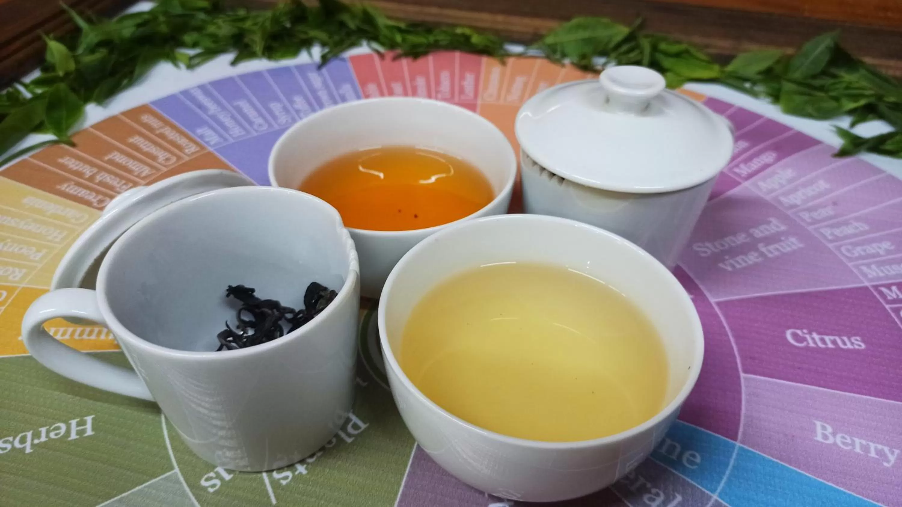 Coffee/tea facilities in TREE TREK BOQUETE Adventure Park