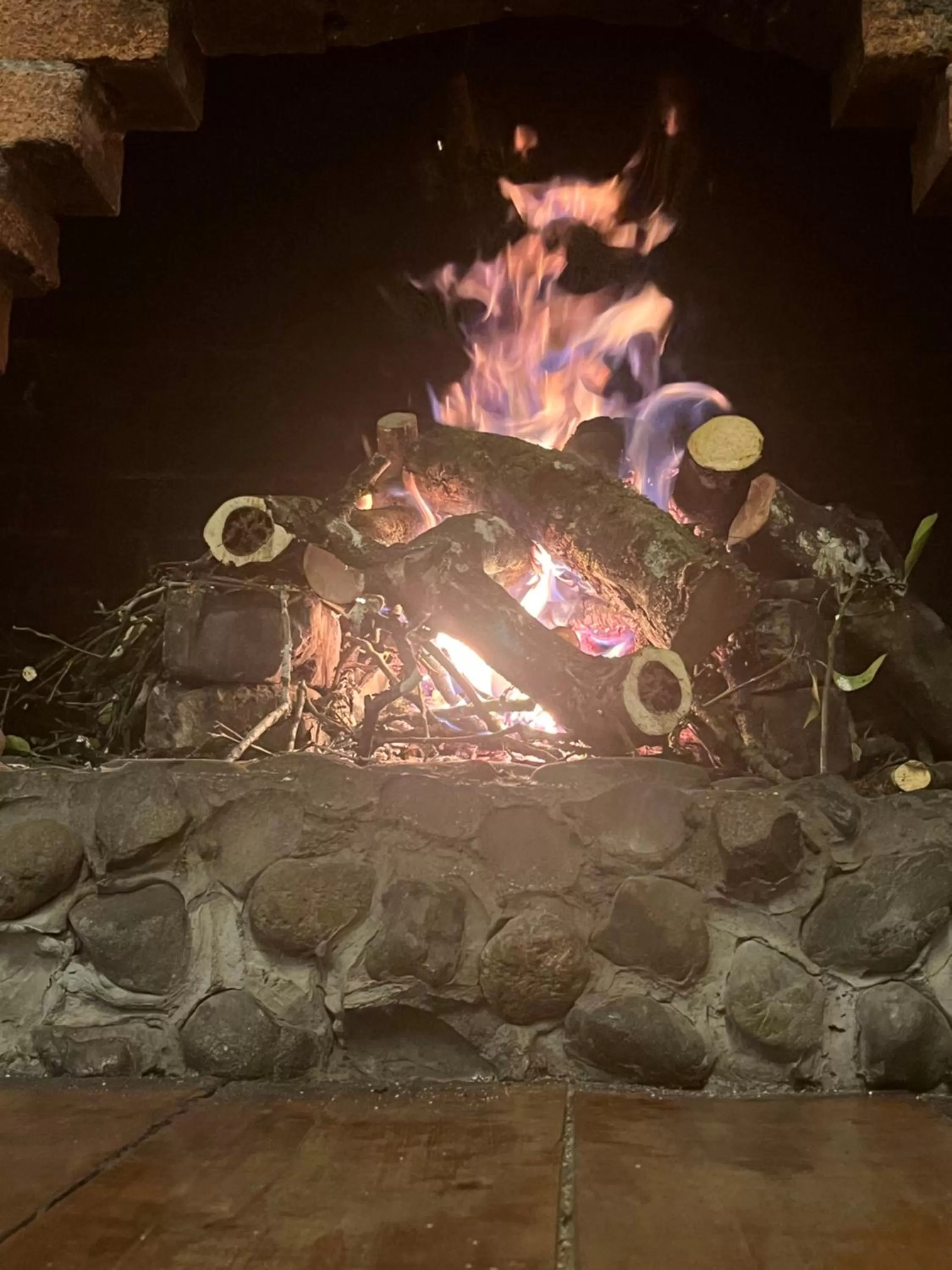 Night in Finca Campestre La Adelita B&B