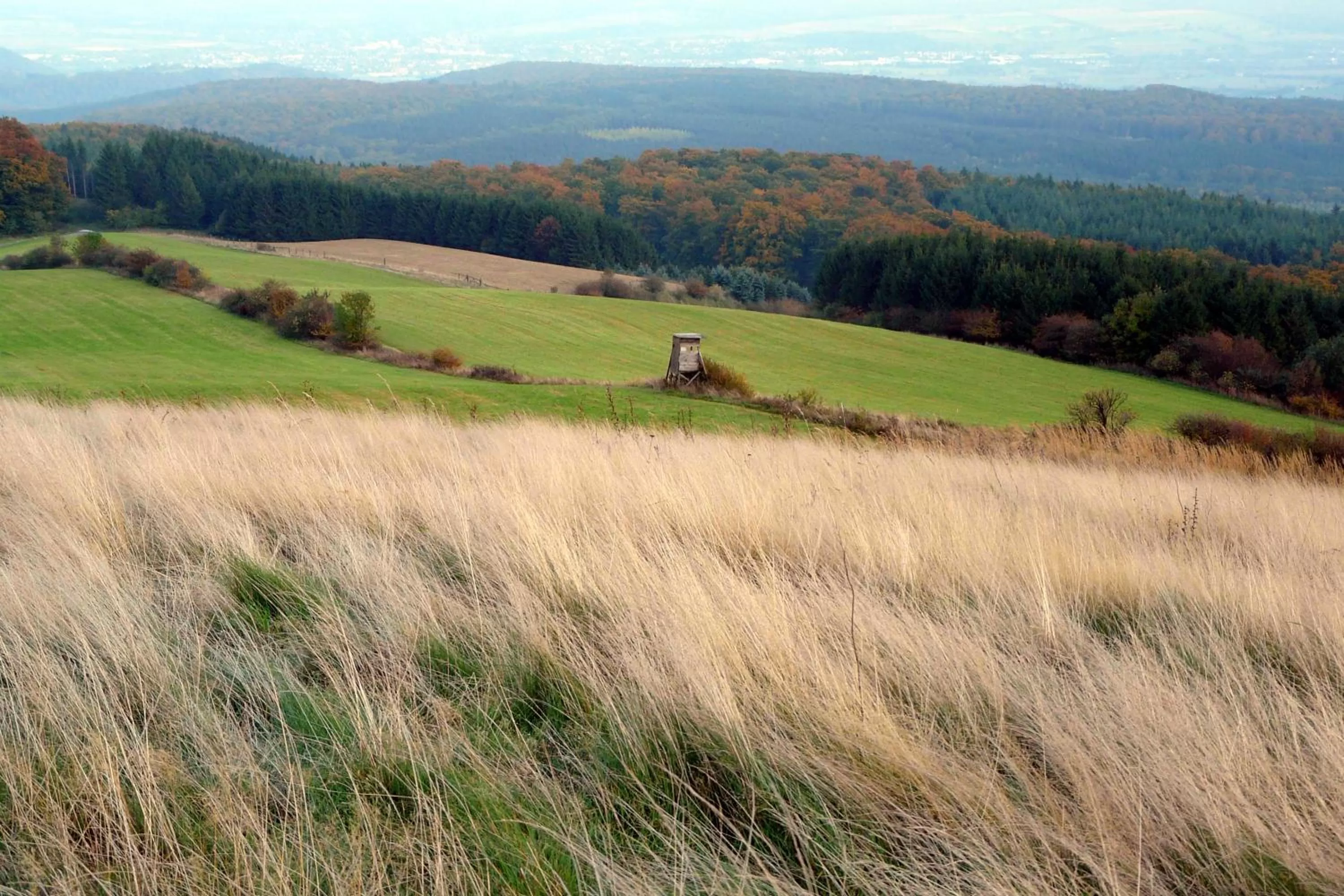 Area and facilities in Gästehaus am Räuschenberg