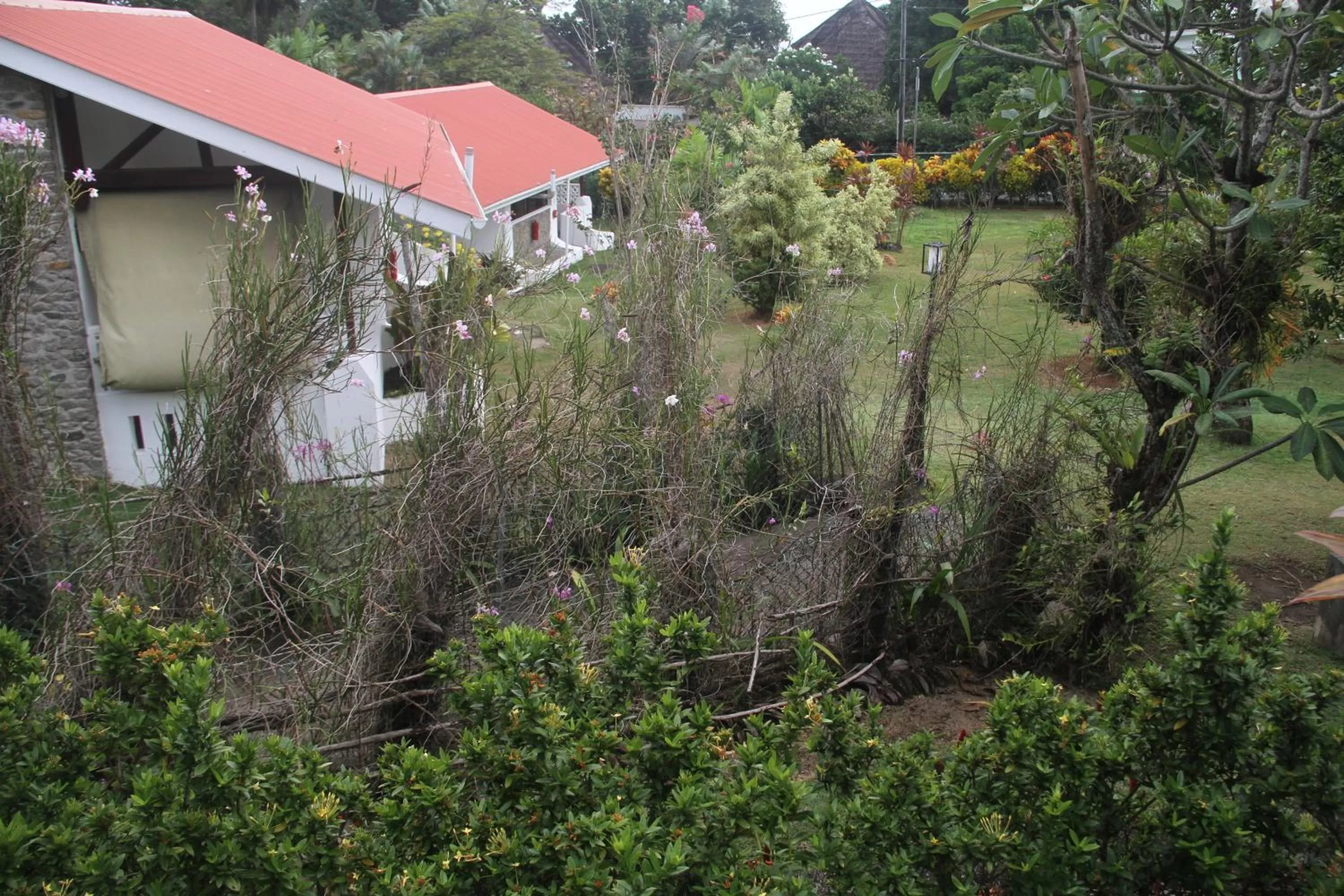 Garden in Daniella's Bungalows