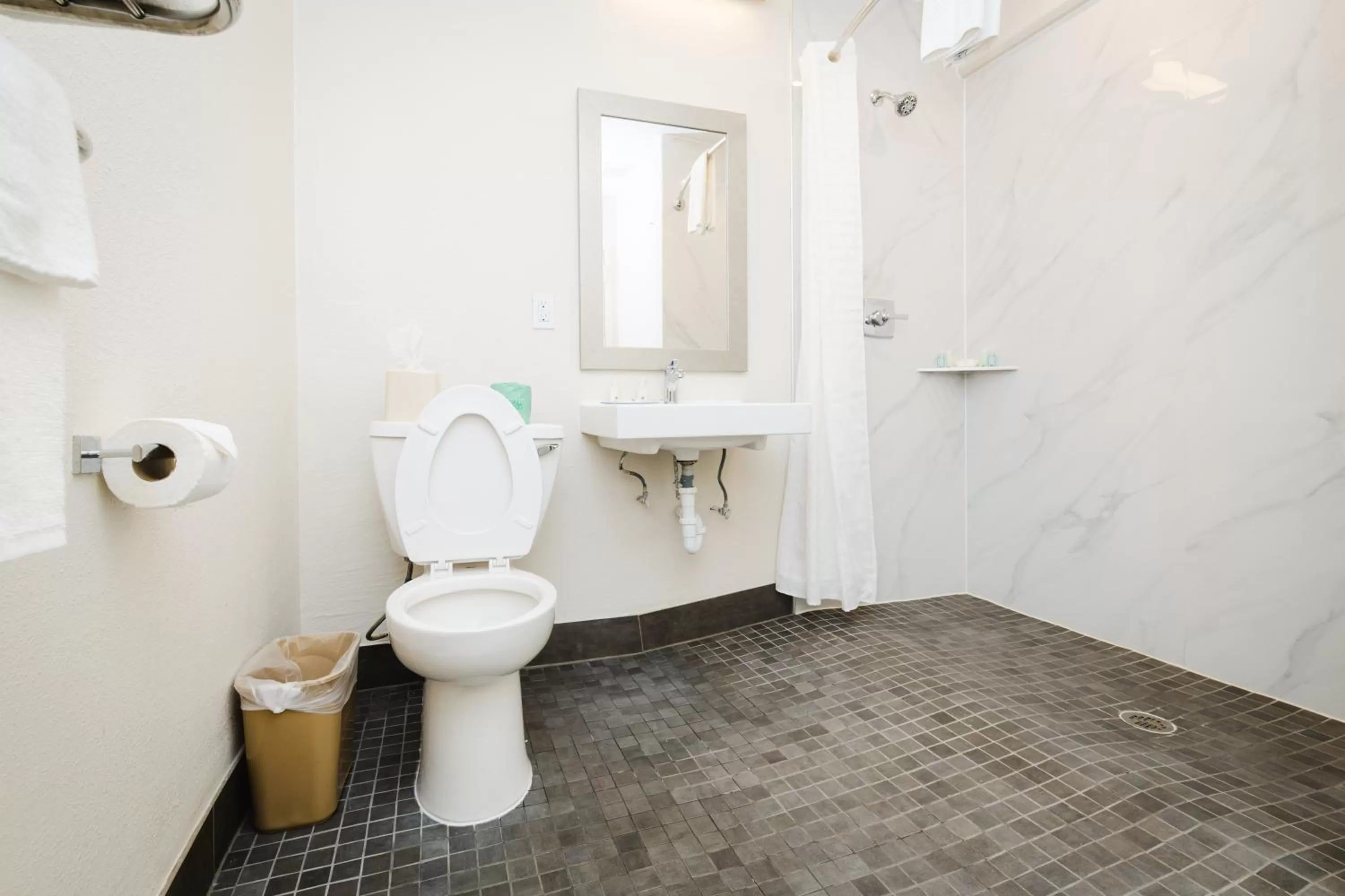 Bathroom in Quality Suites Houston Hobby Airport