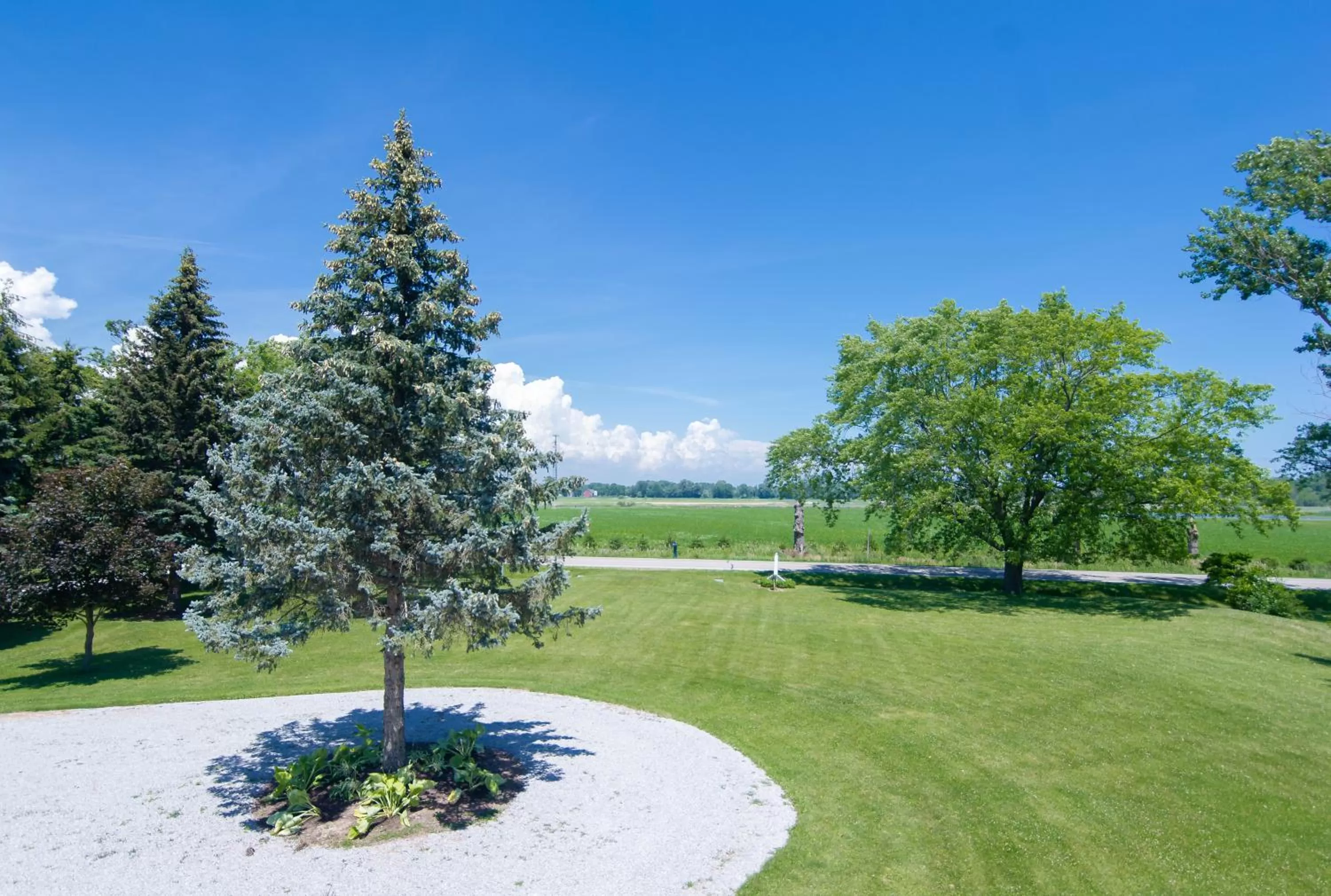 Garden in Bye the Bay Bed and Breakfast