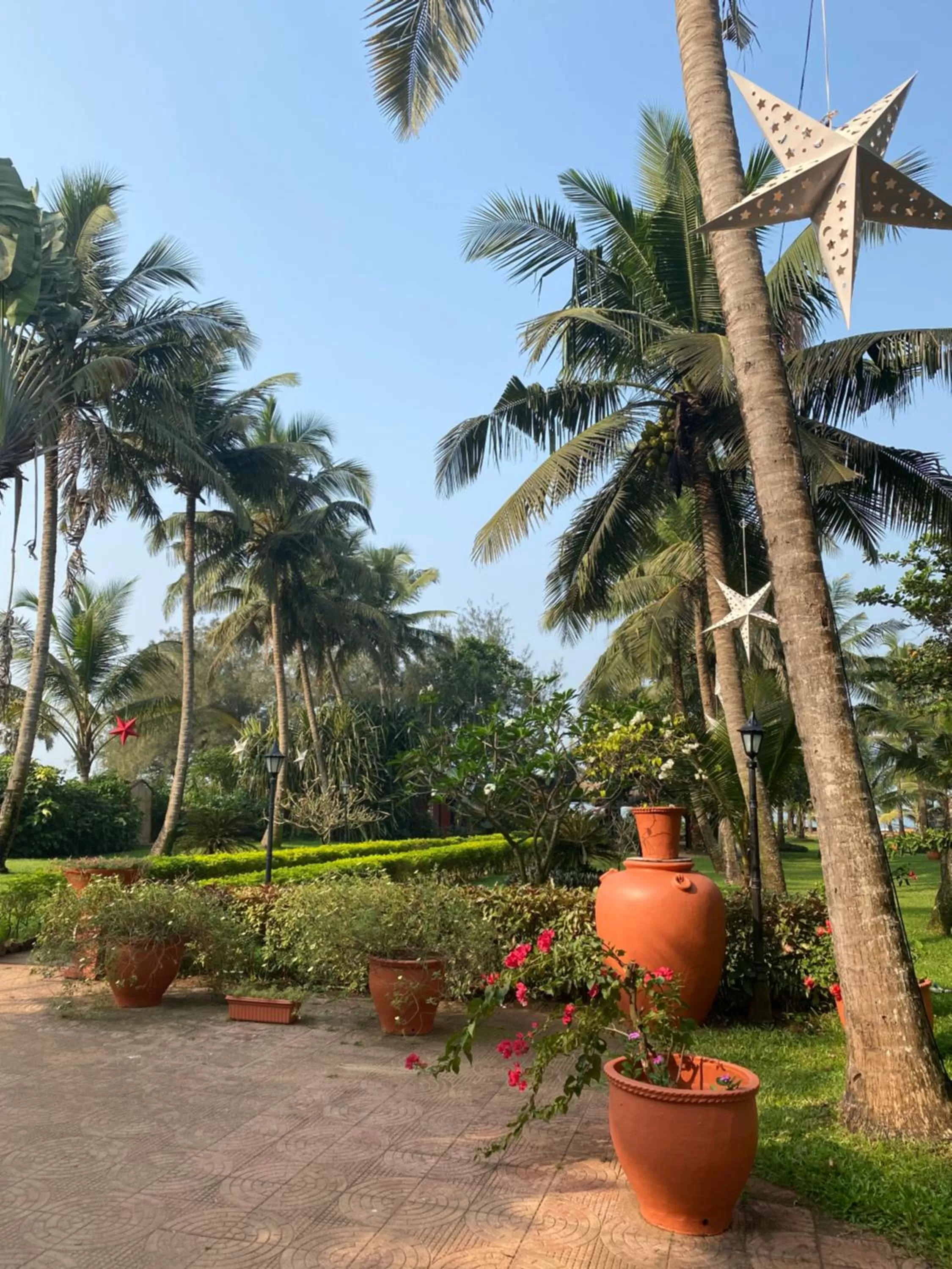 Garden in Chalston Beach Resort