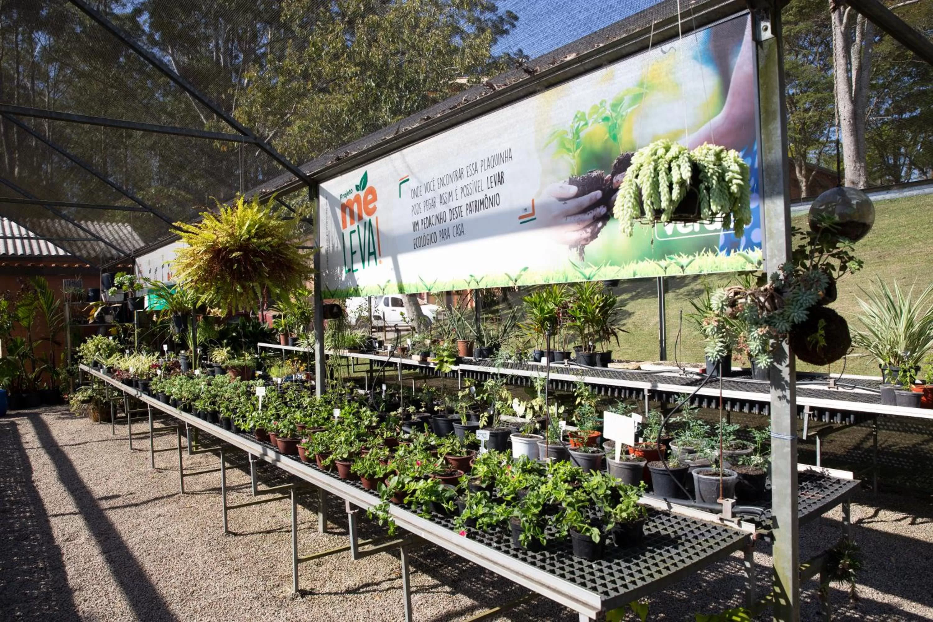 Garden in Hotel Villa Rossa