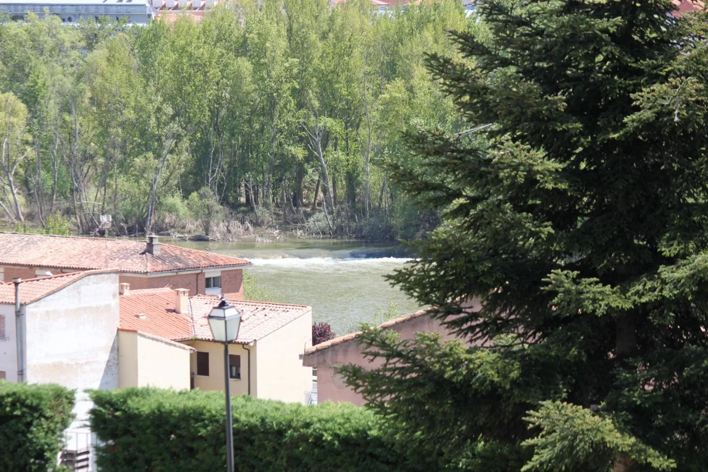 Garden in Parador de Zamora