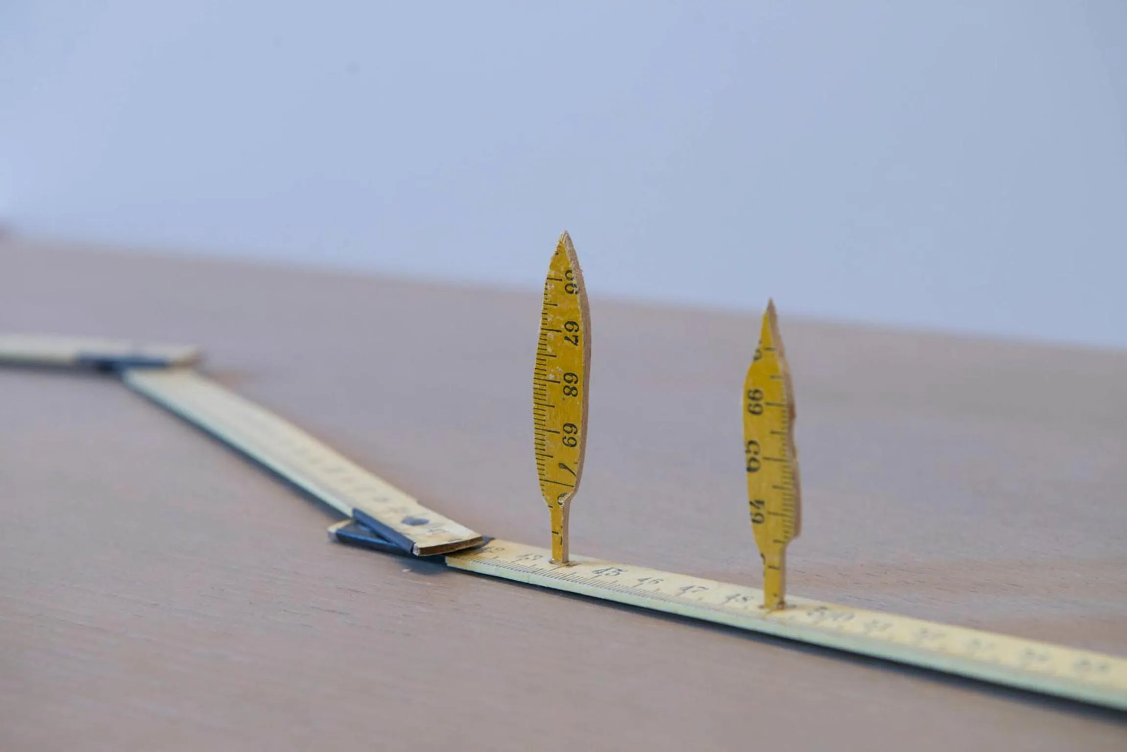 Fitness centre/facilities in Pistoia Nursery Campus - agriturismo in città