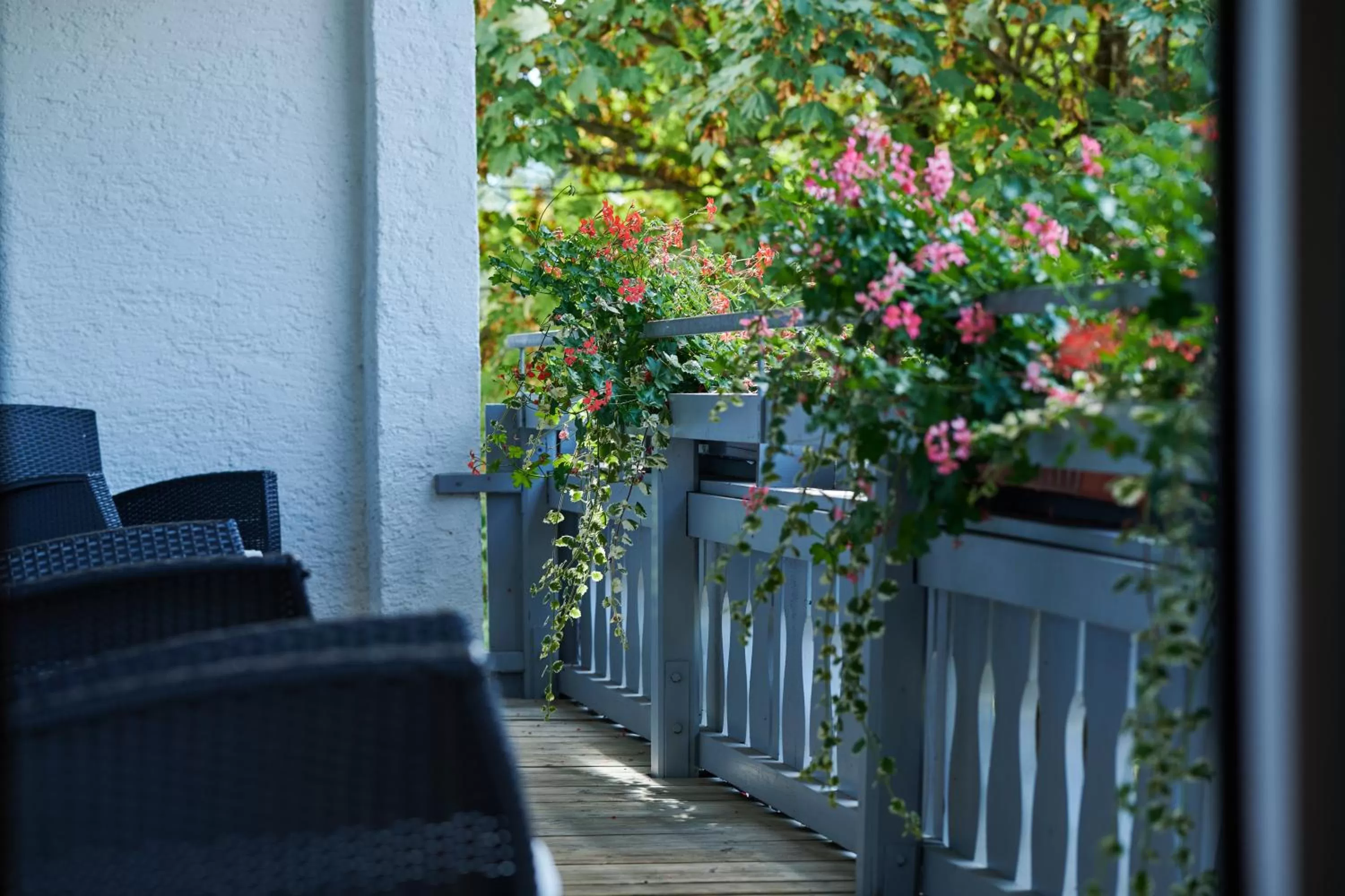 Balcony/Terrace in Hotel Bannwaldsee