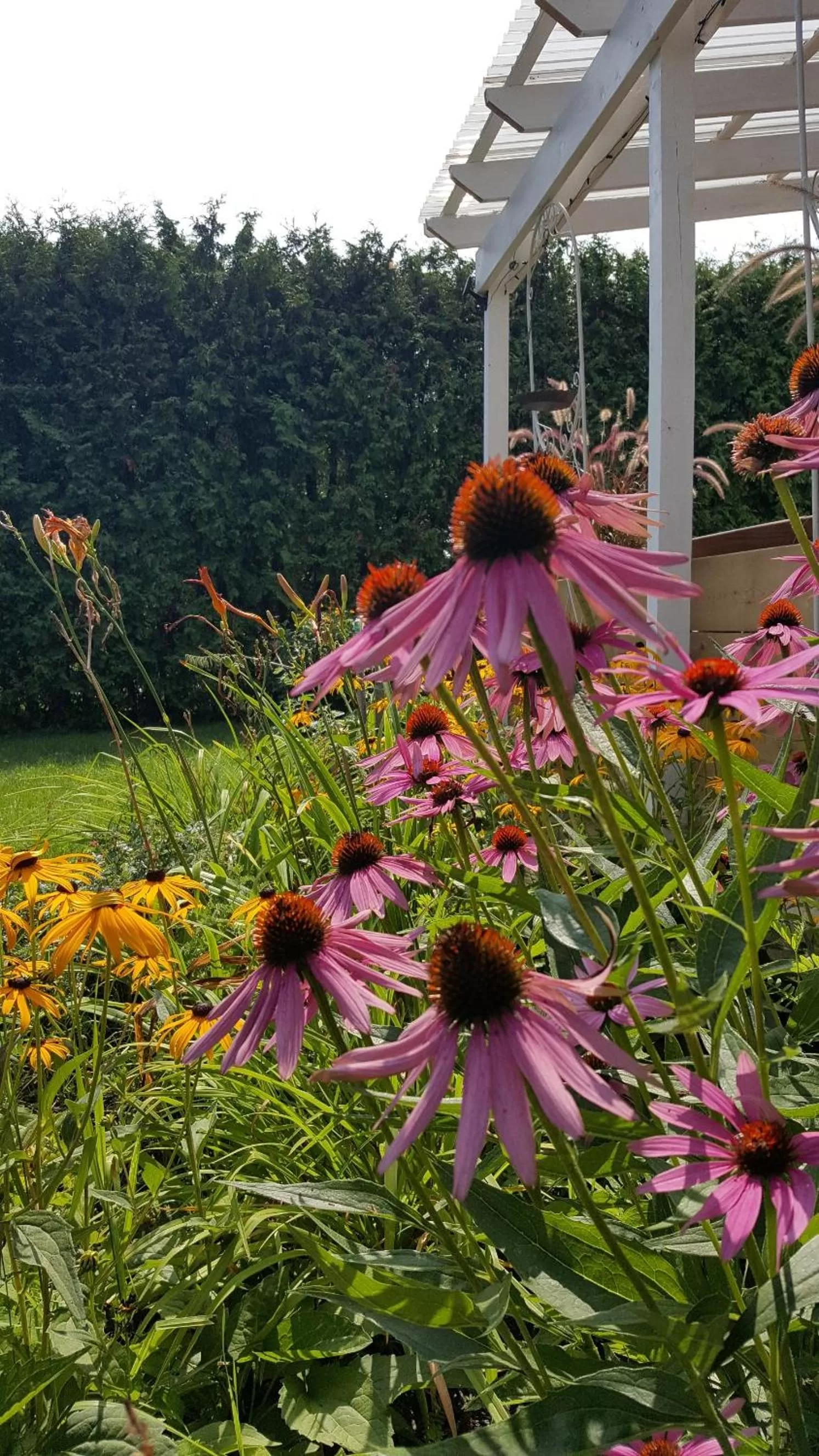 Garden in Atelier Galerie Anne Drouin Peinture & Pension