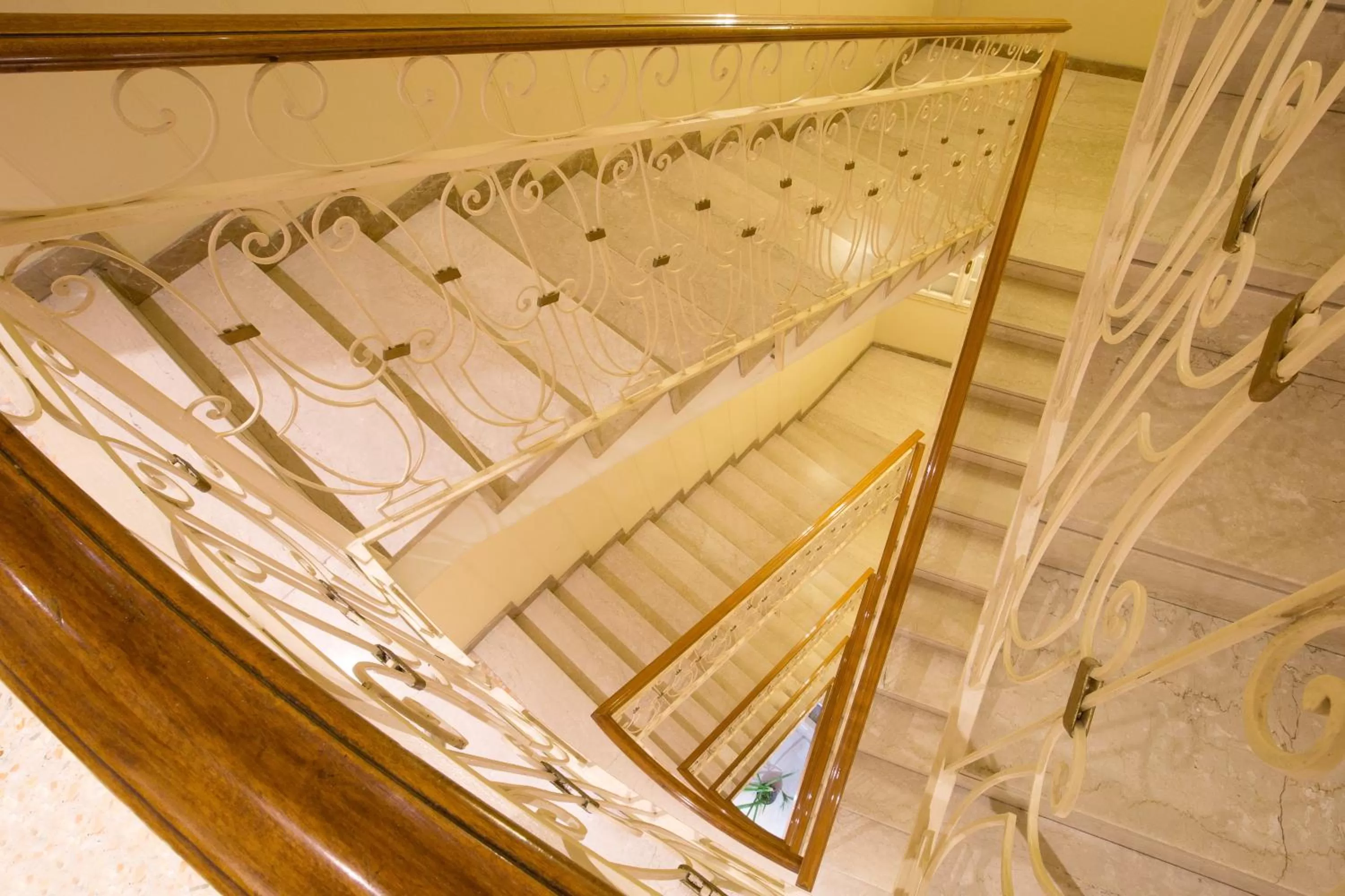 Area and facilities in Hotel Continental