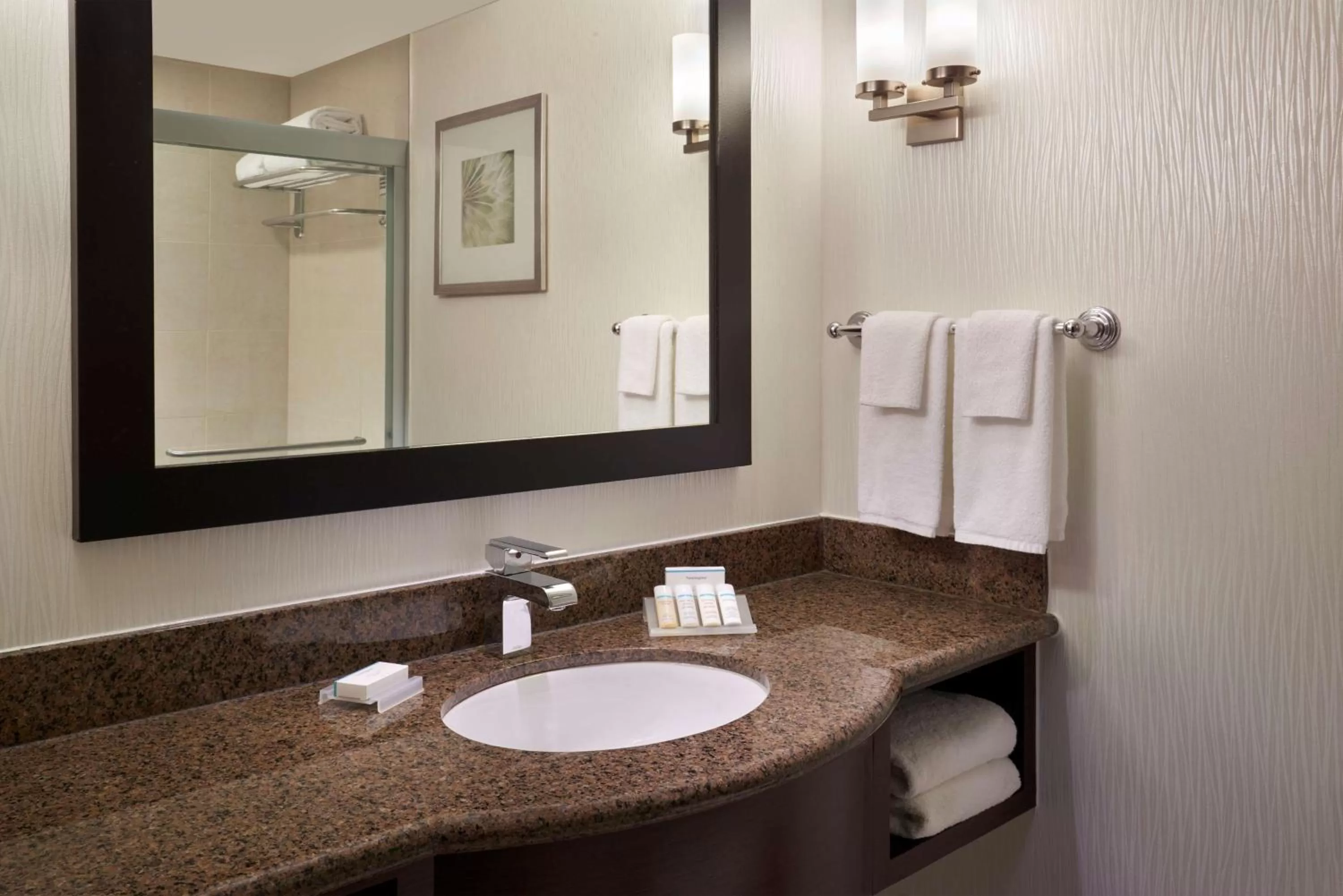 Bathroom in Hilton Garden Inn Toronto Airport West/Mississauga
