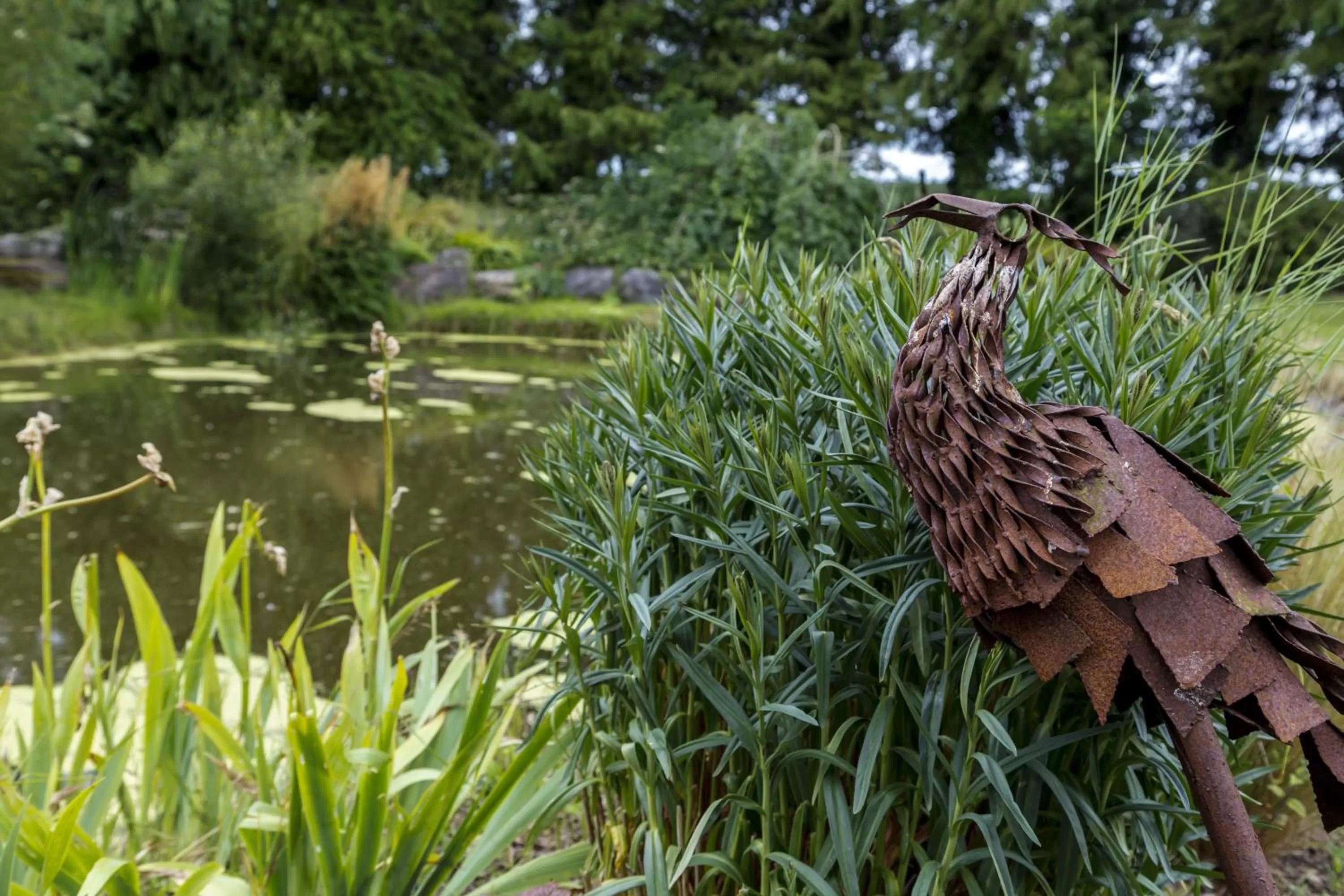 Other Animals in College Hill House