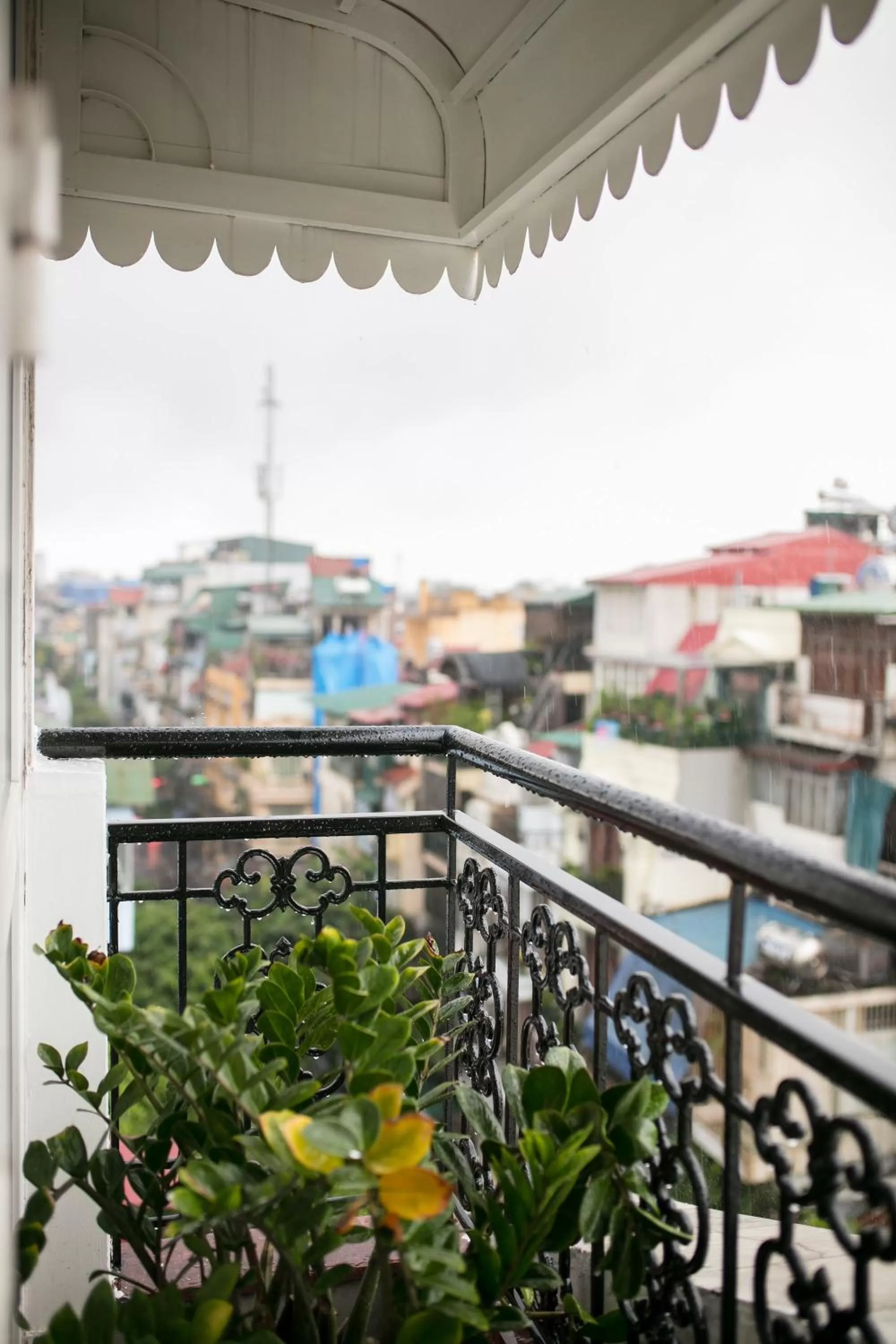 Balcony/Terrace in Flora Centre Hotel & Spa