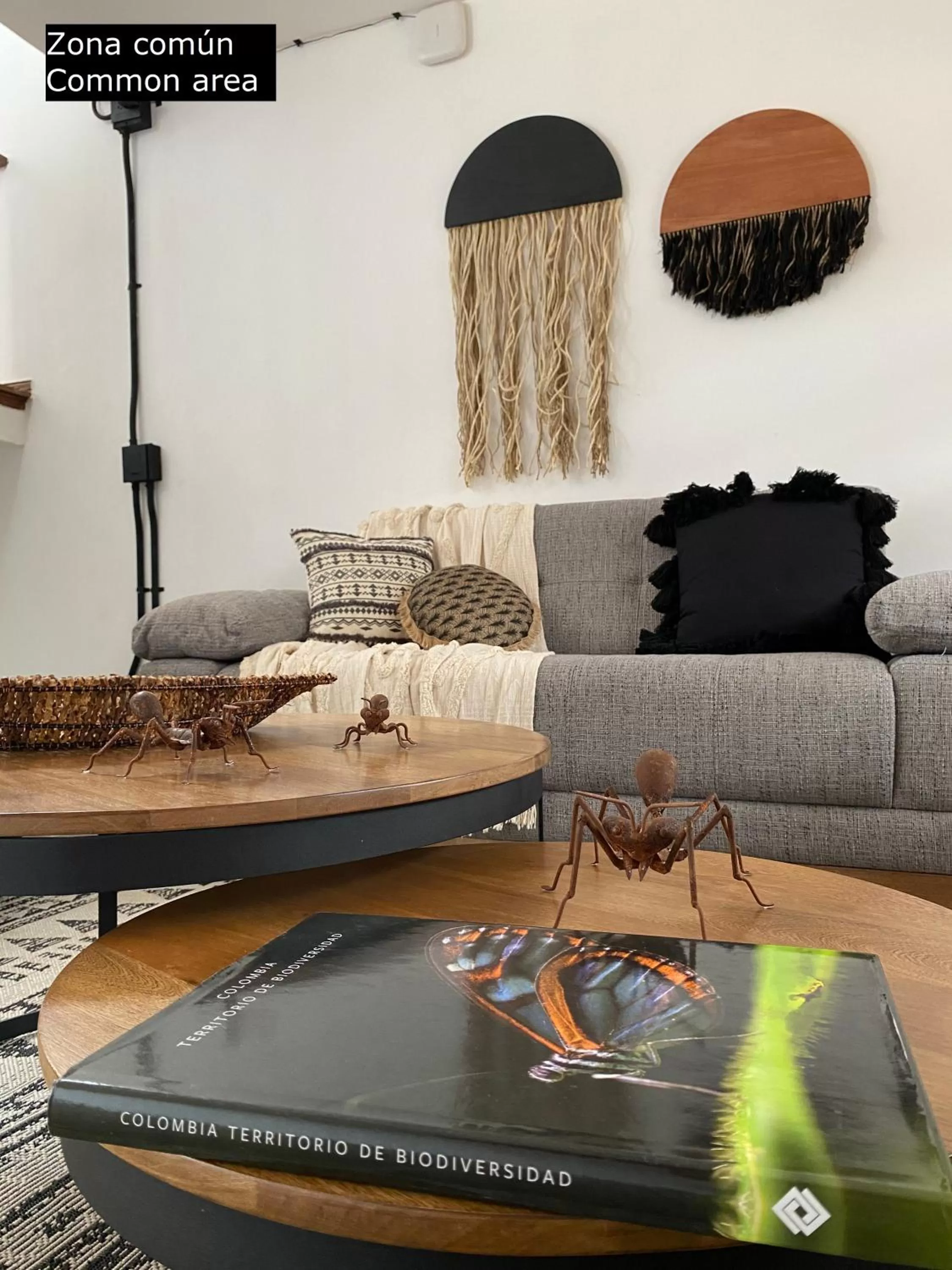 Living room in Casa Medallo