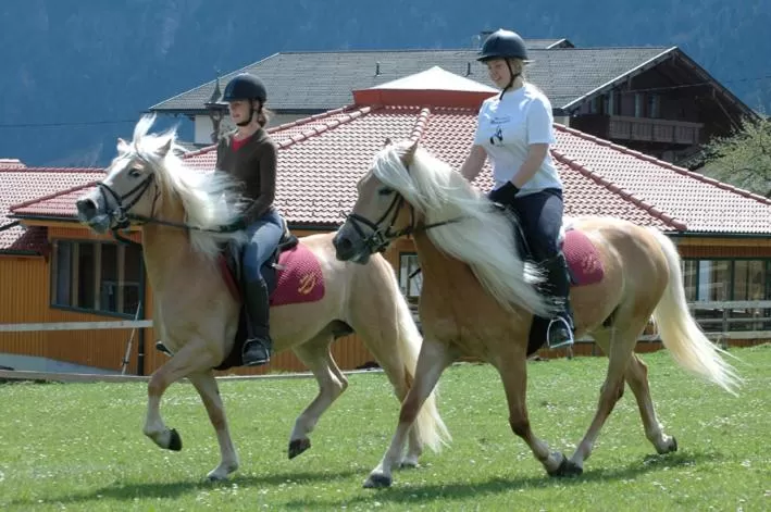 Horse-riding in Hotel Hauserwirt