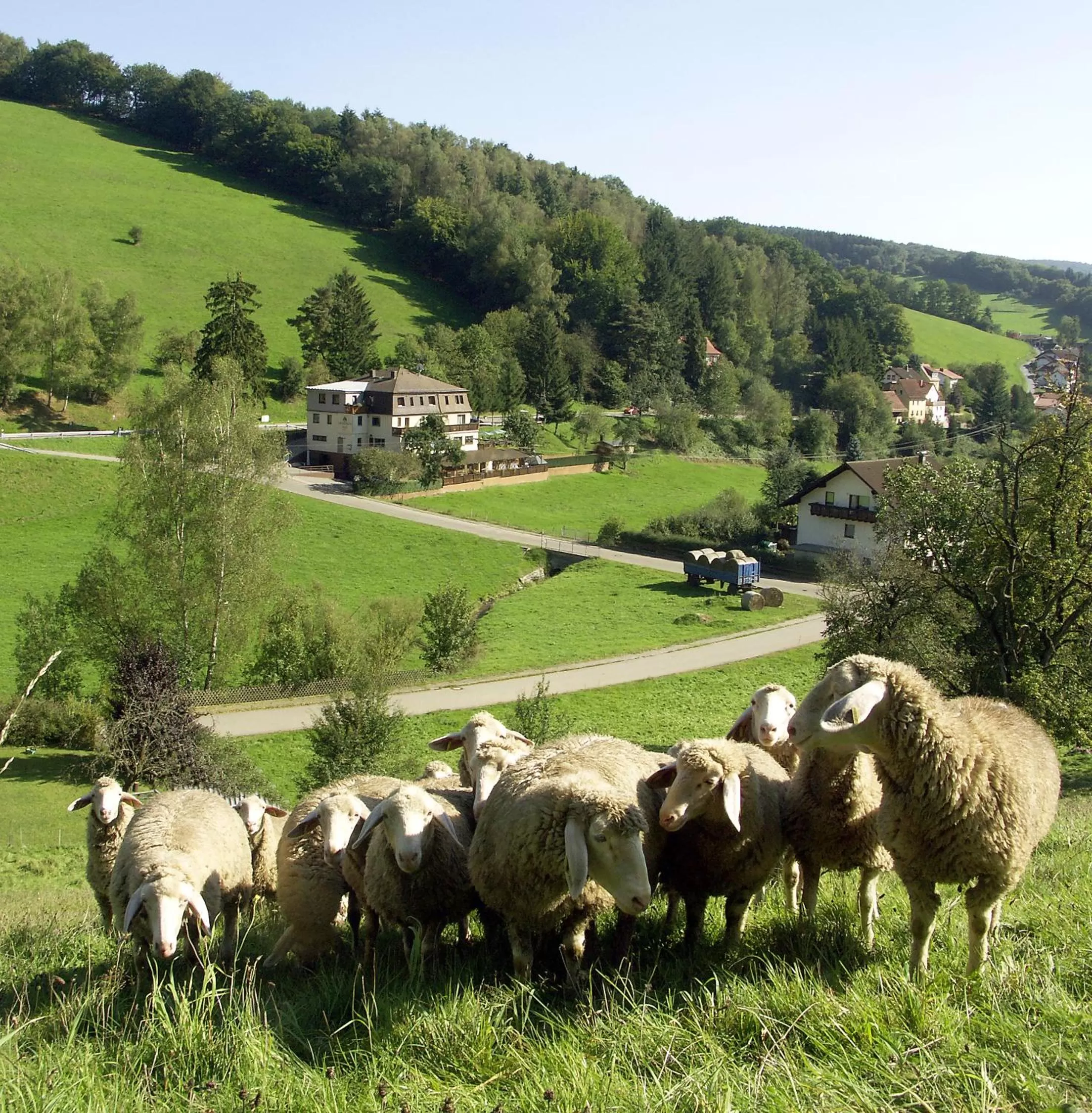 Area and facilities in Hotel Grüner Baum mit Restaurant & Wellness