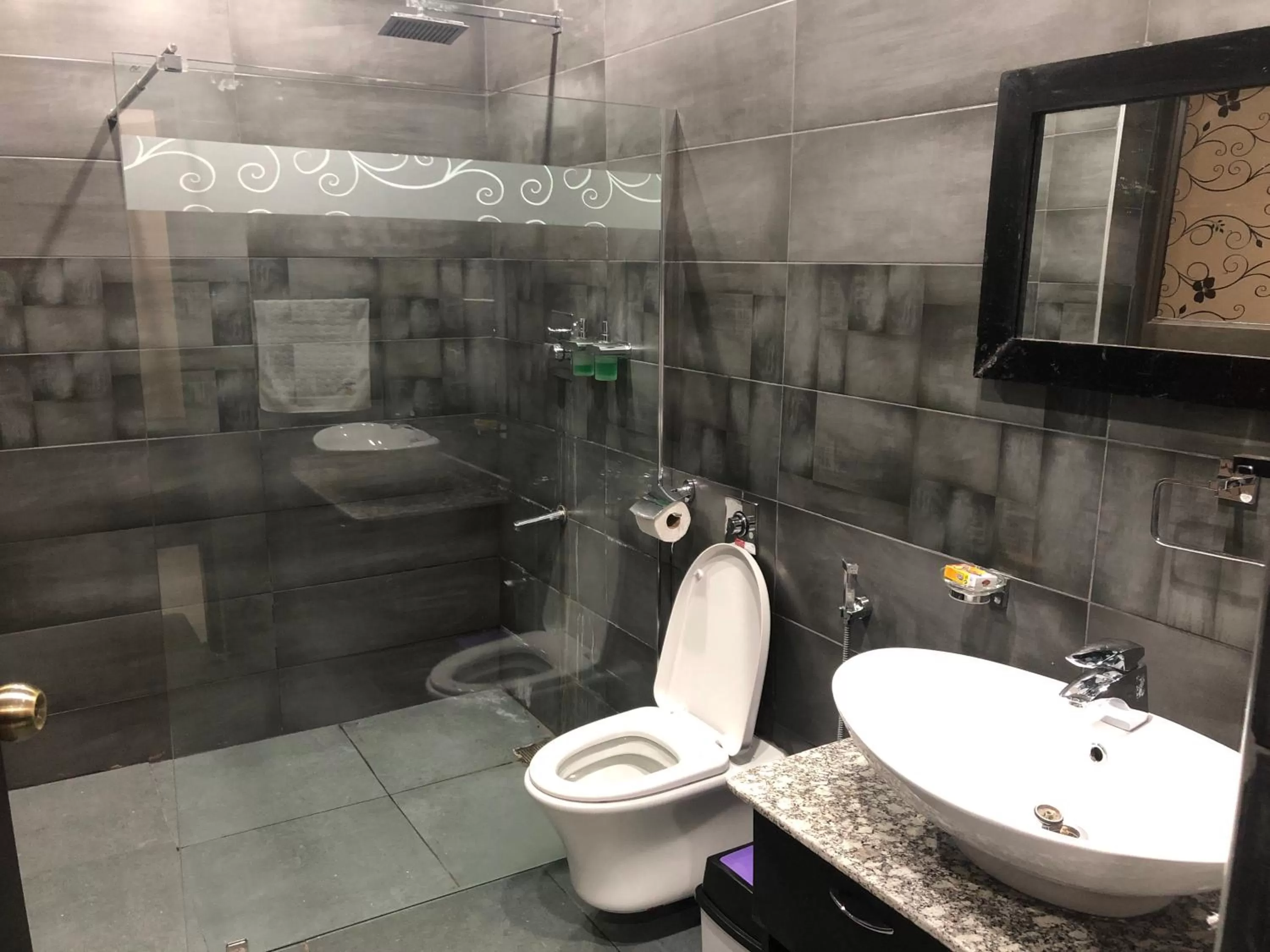 Shower in Palm Kalash Hotel