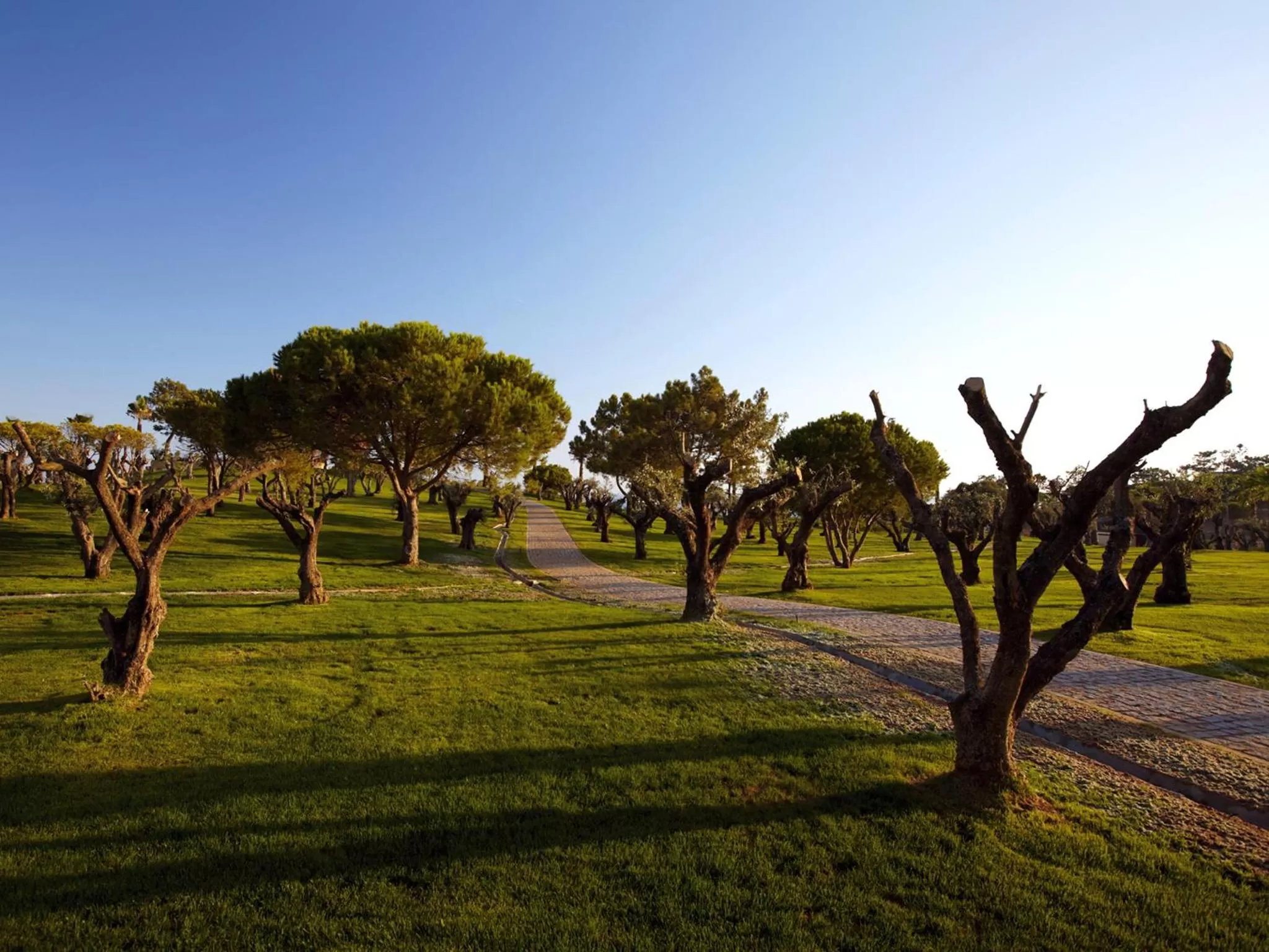 Area and facilities in NAU Sao Rafael Atlantico