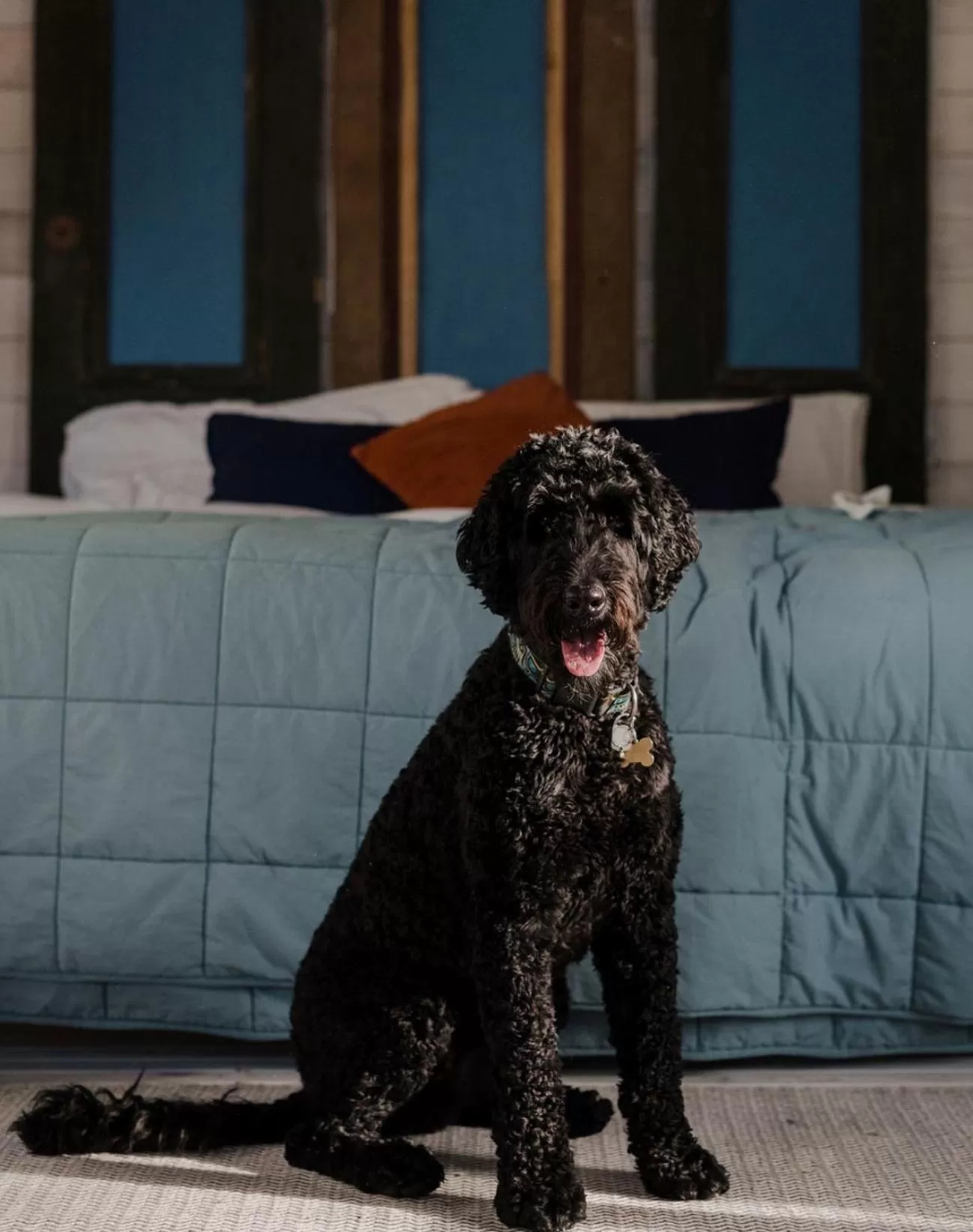 Animals, Pets in Locust & Starr Inn