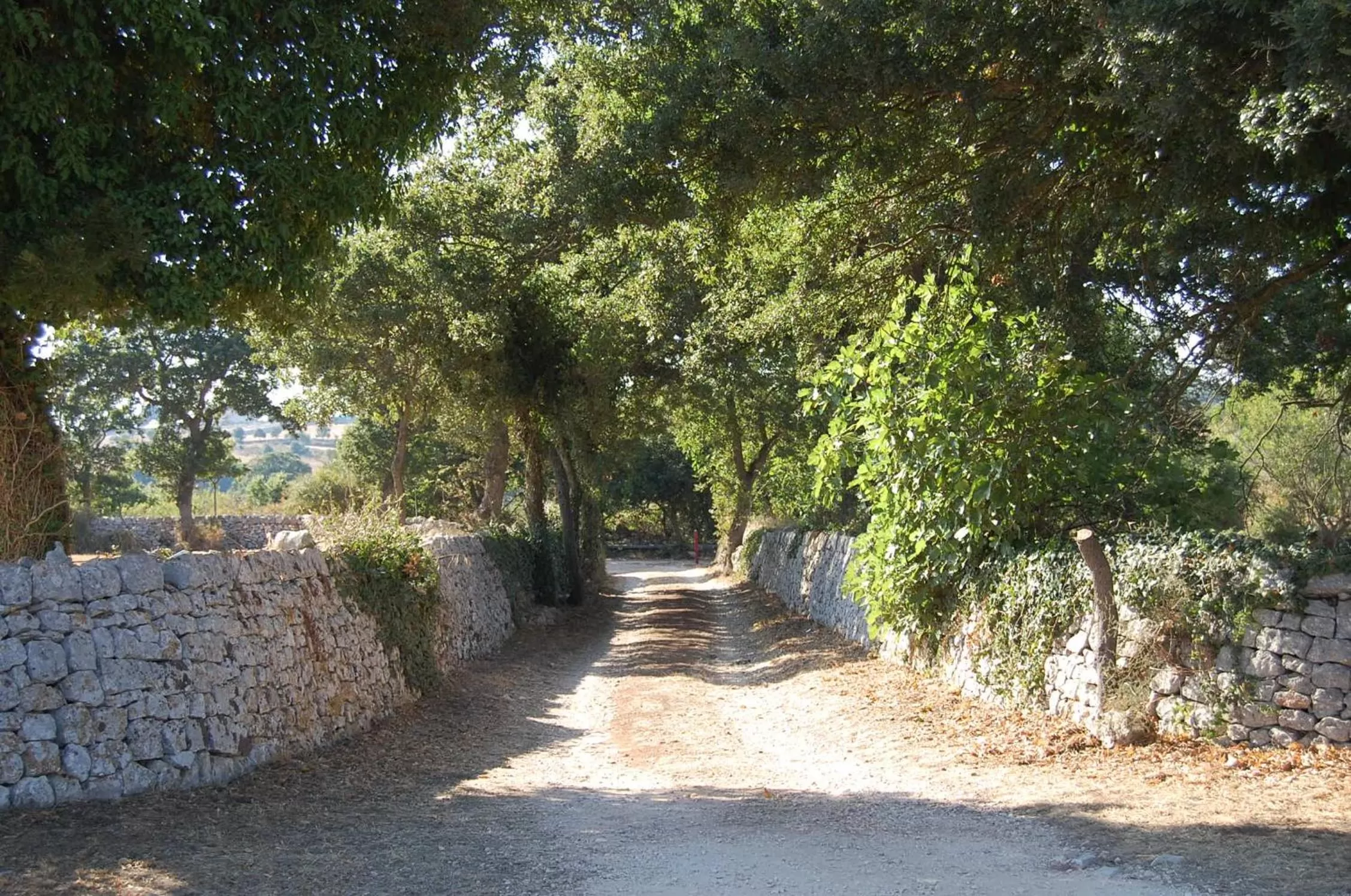 Natural landscape in B&B Masseria Santanna