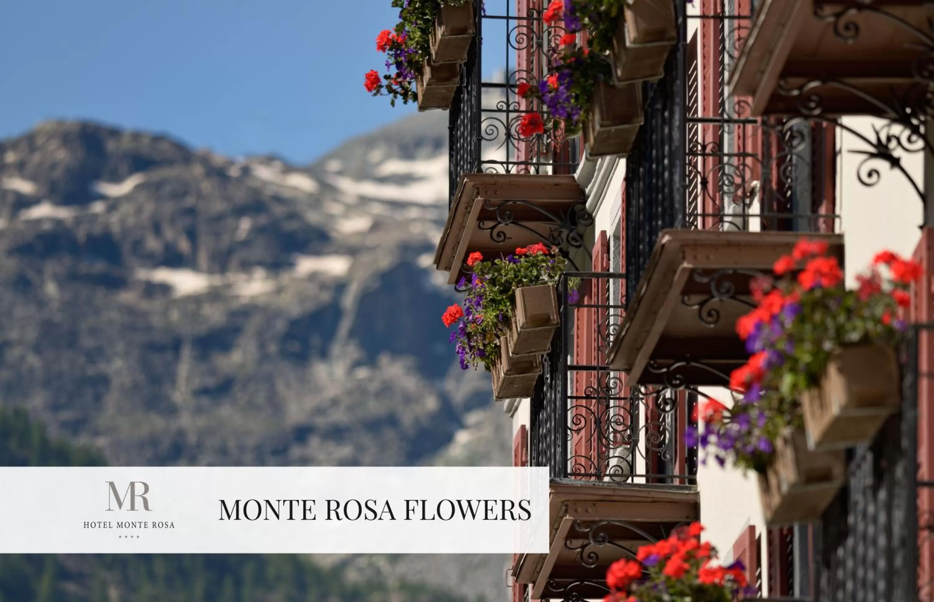 Facade/entrance in Monte Rosa Boutique Hotel