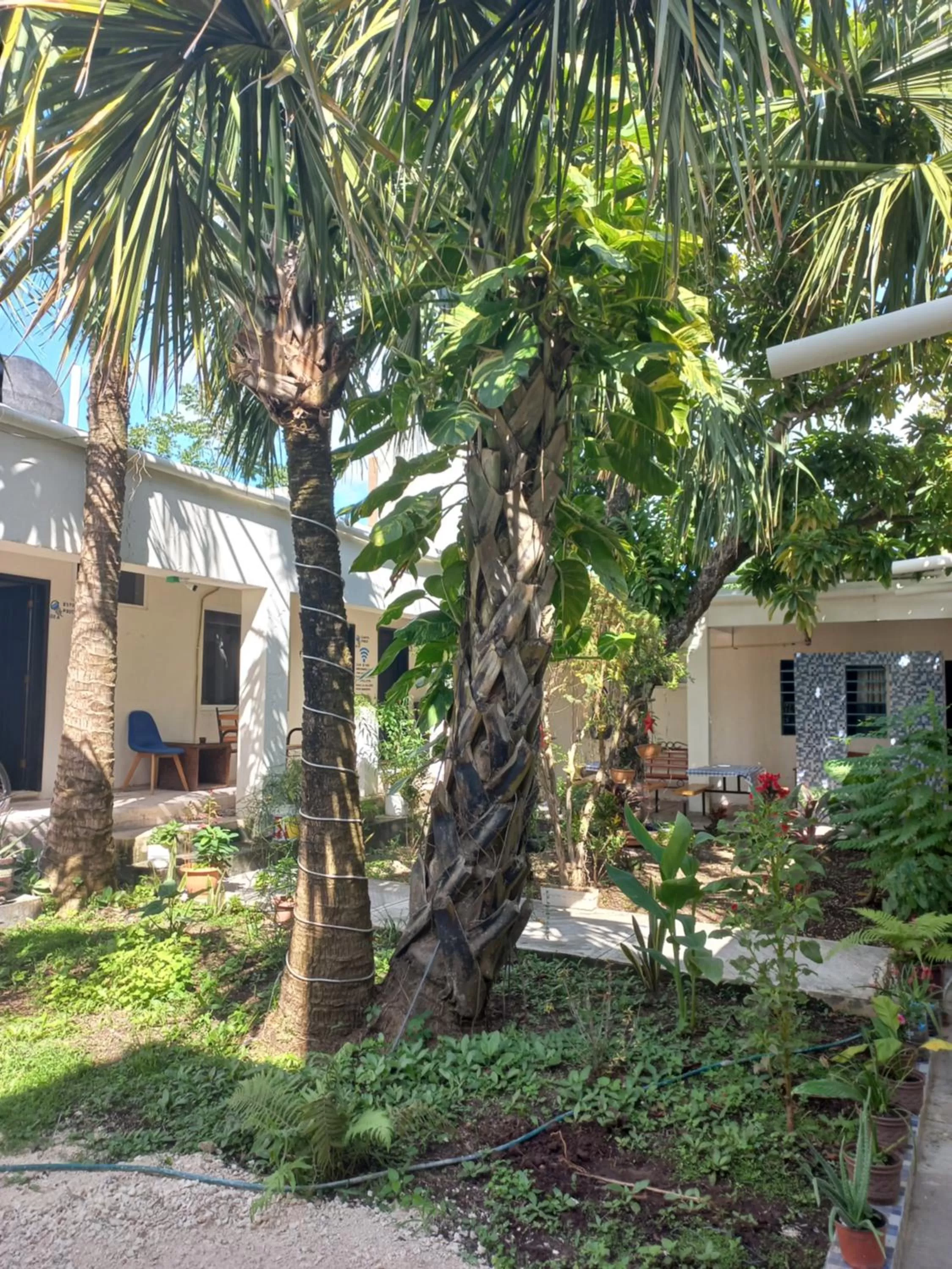 Property Building in Bea rooms and studios