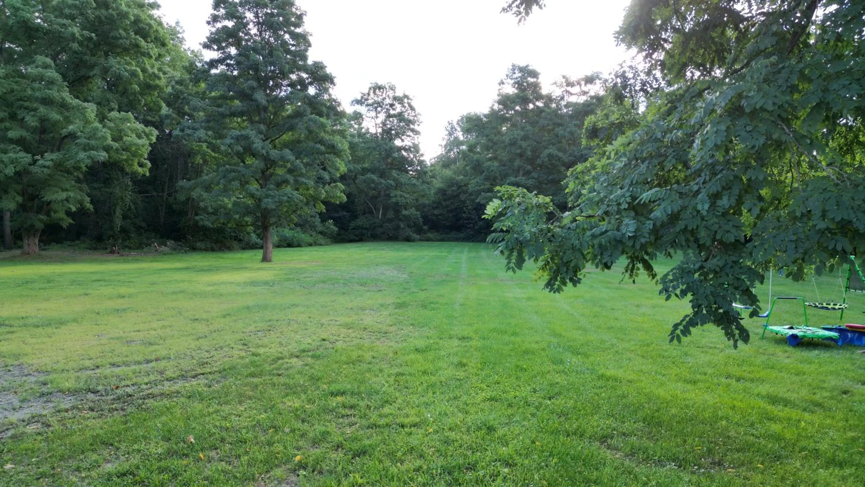 Garden in The Putney Inn