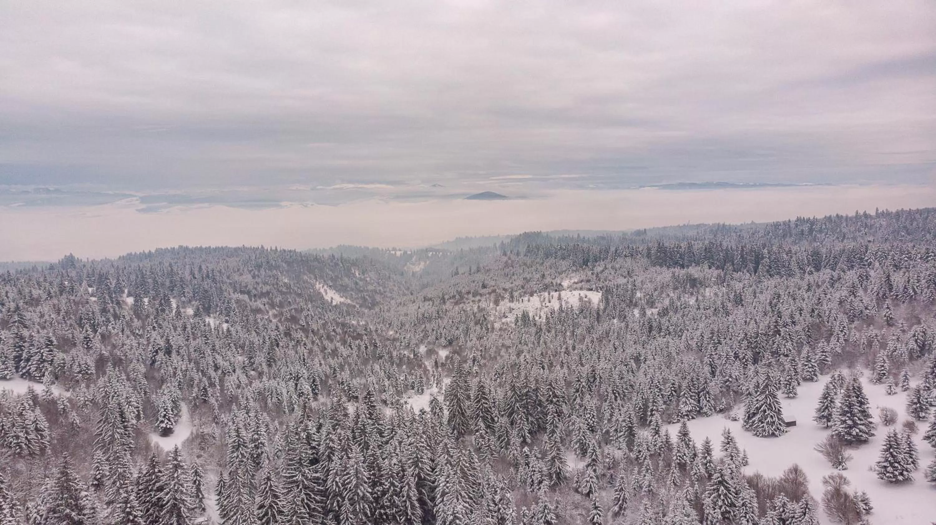 Natural landscape in Mountain-Rest Pension