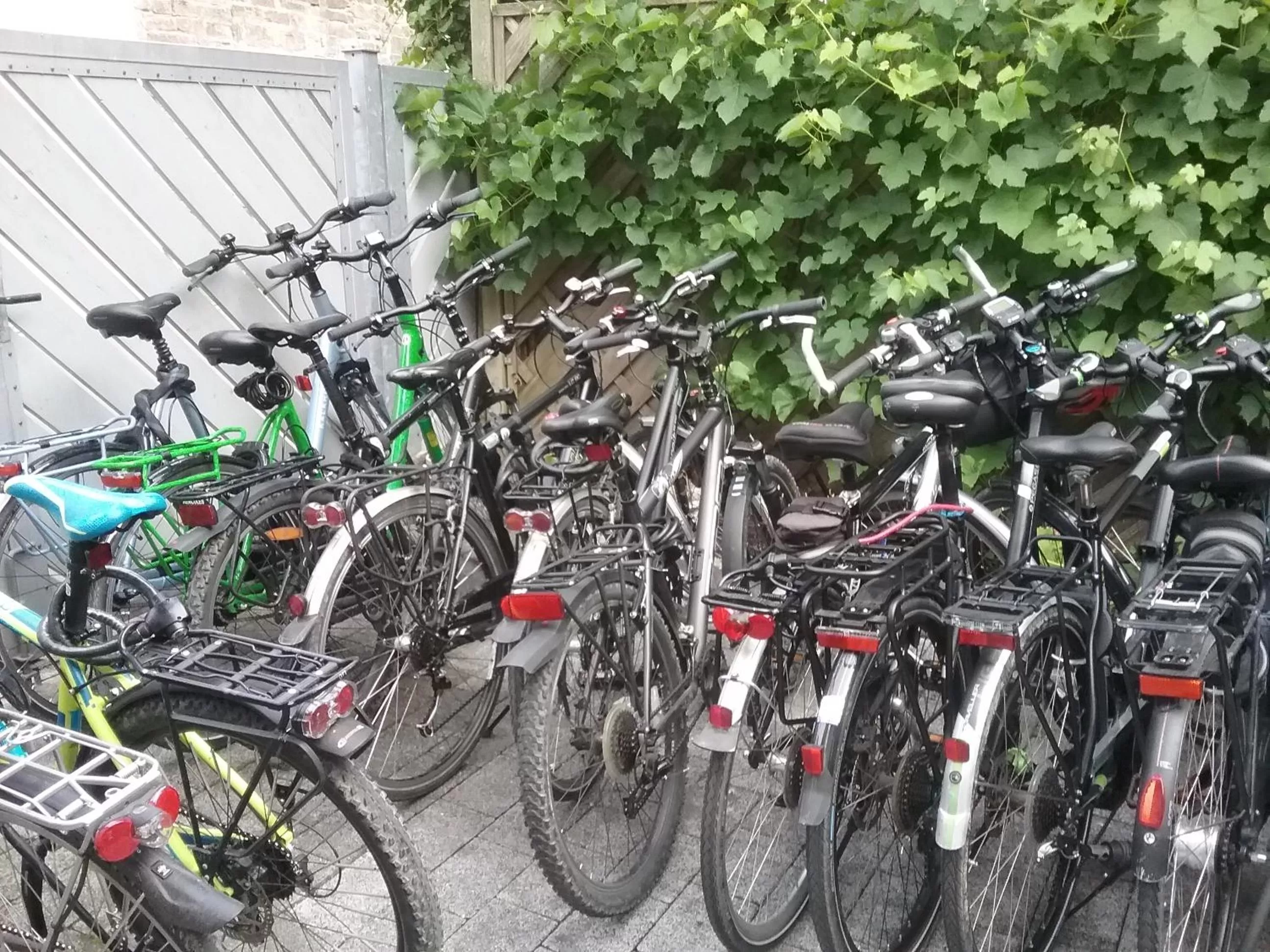 Balcony/Terrace, Biking in Landhotel Garni am Mühlenwörth