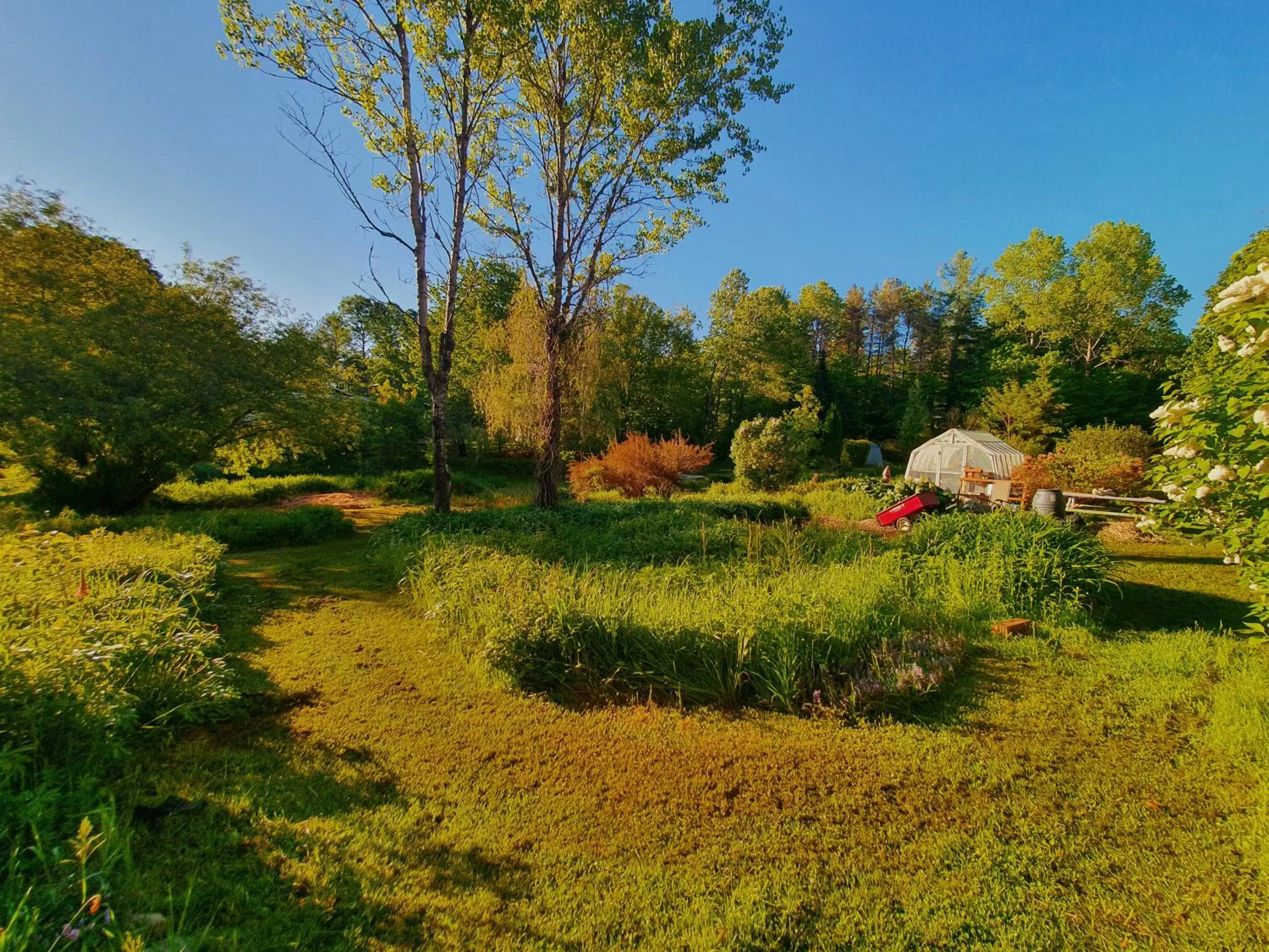 Natural landscape in Le Salon des Inconnus