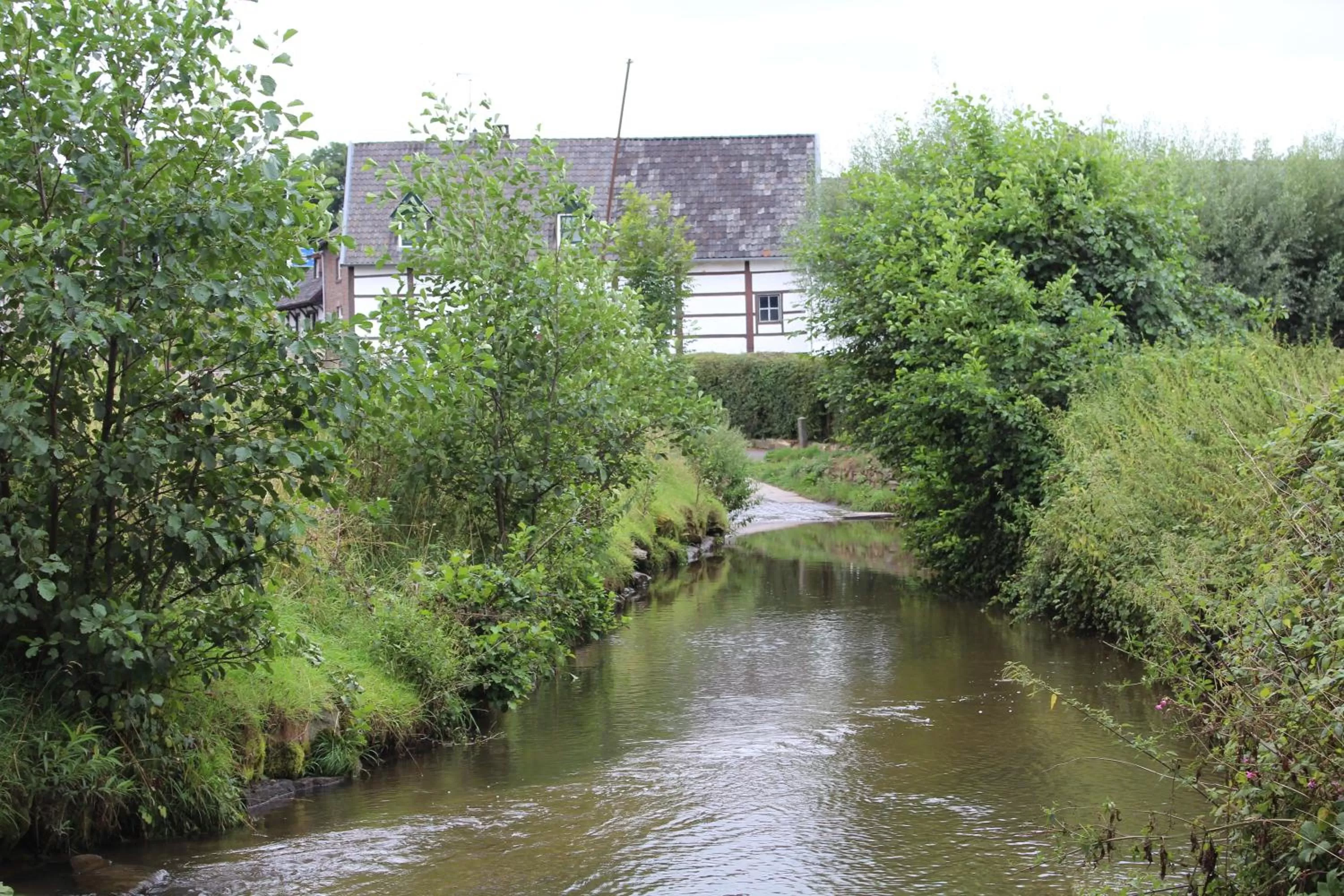 Natural landscape in B&B Von Clermont Park
