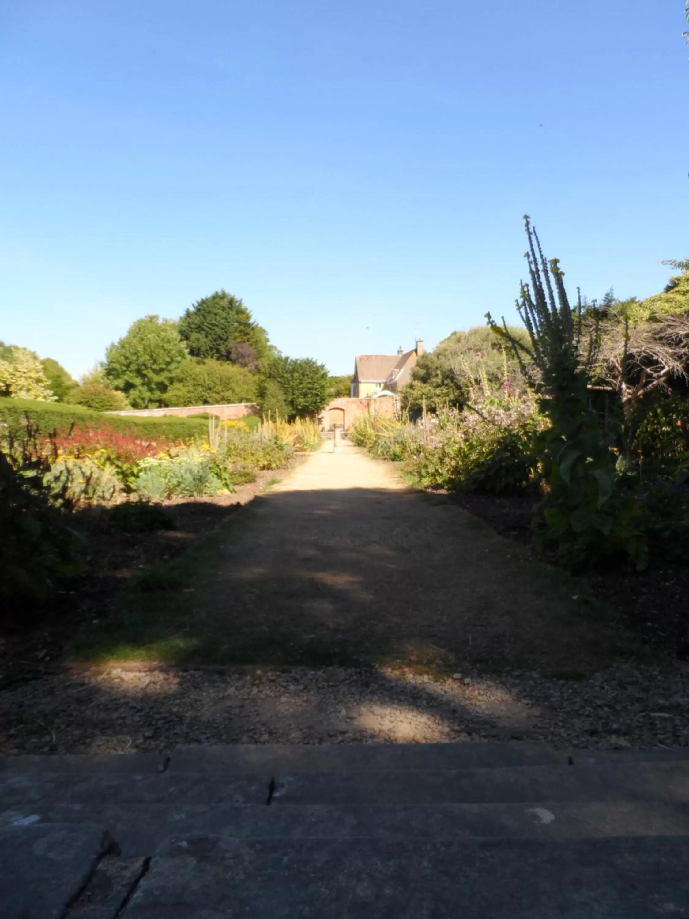 Garden in Stanton House Hotel