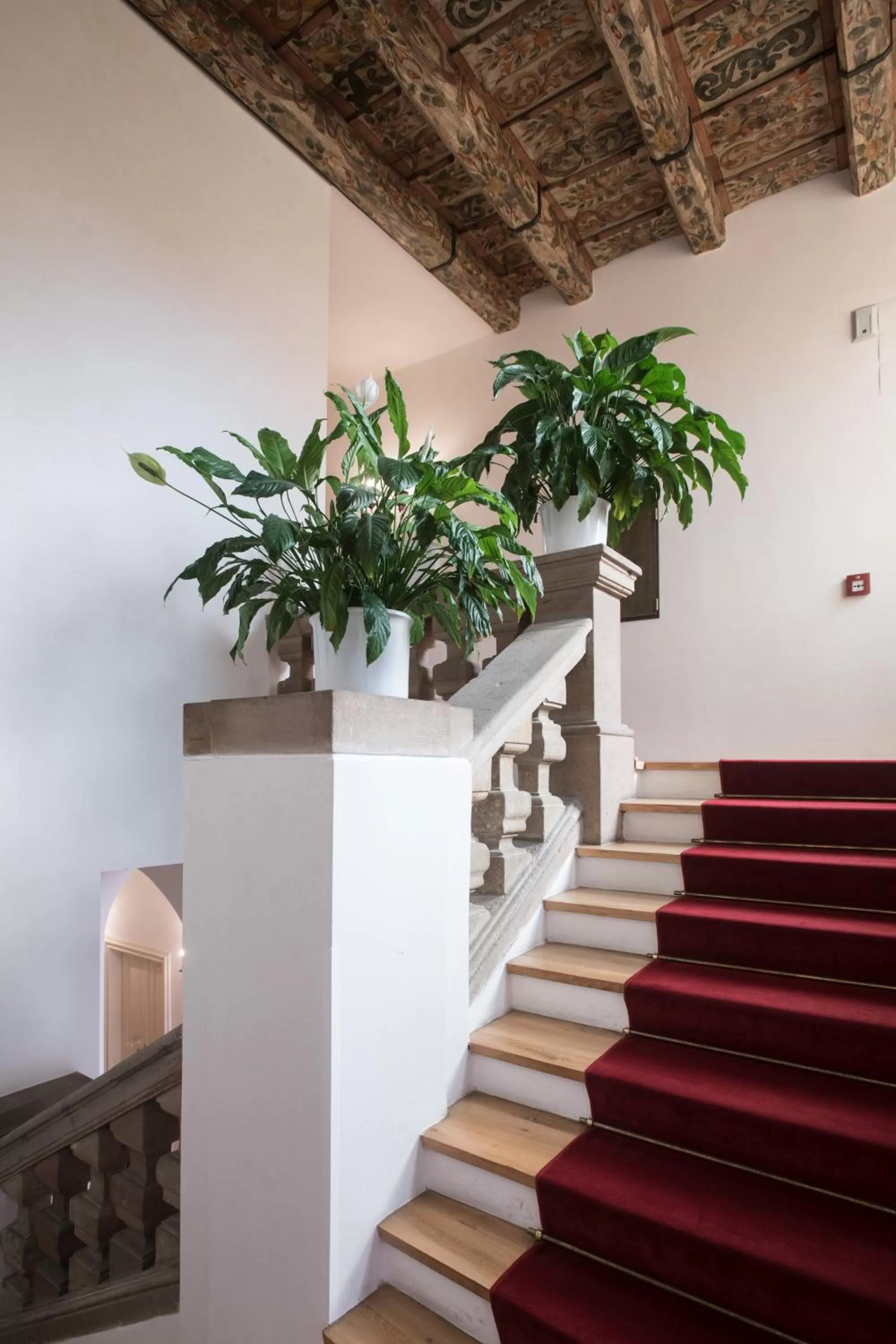 Decorative detail in Opitzův dům