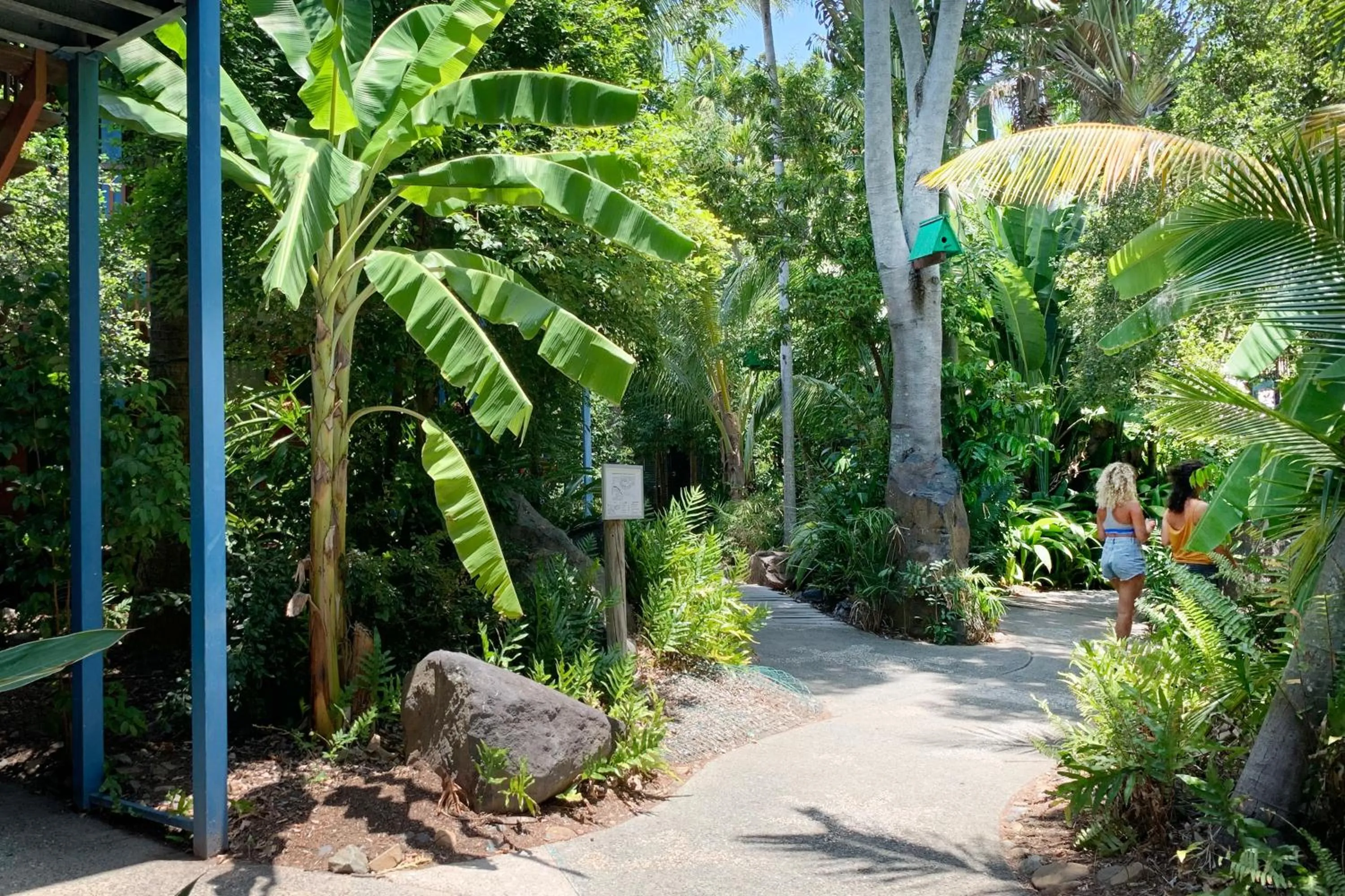 Natural landscape in Airlie Beach Magnums - Adults Only