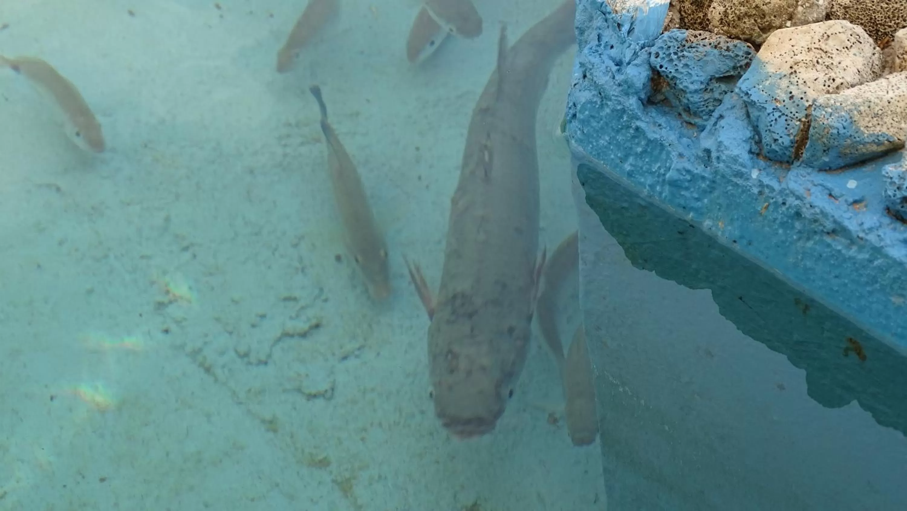 Other in Hotel Alba-Gert