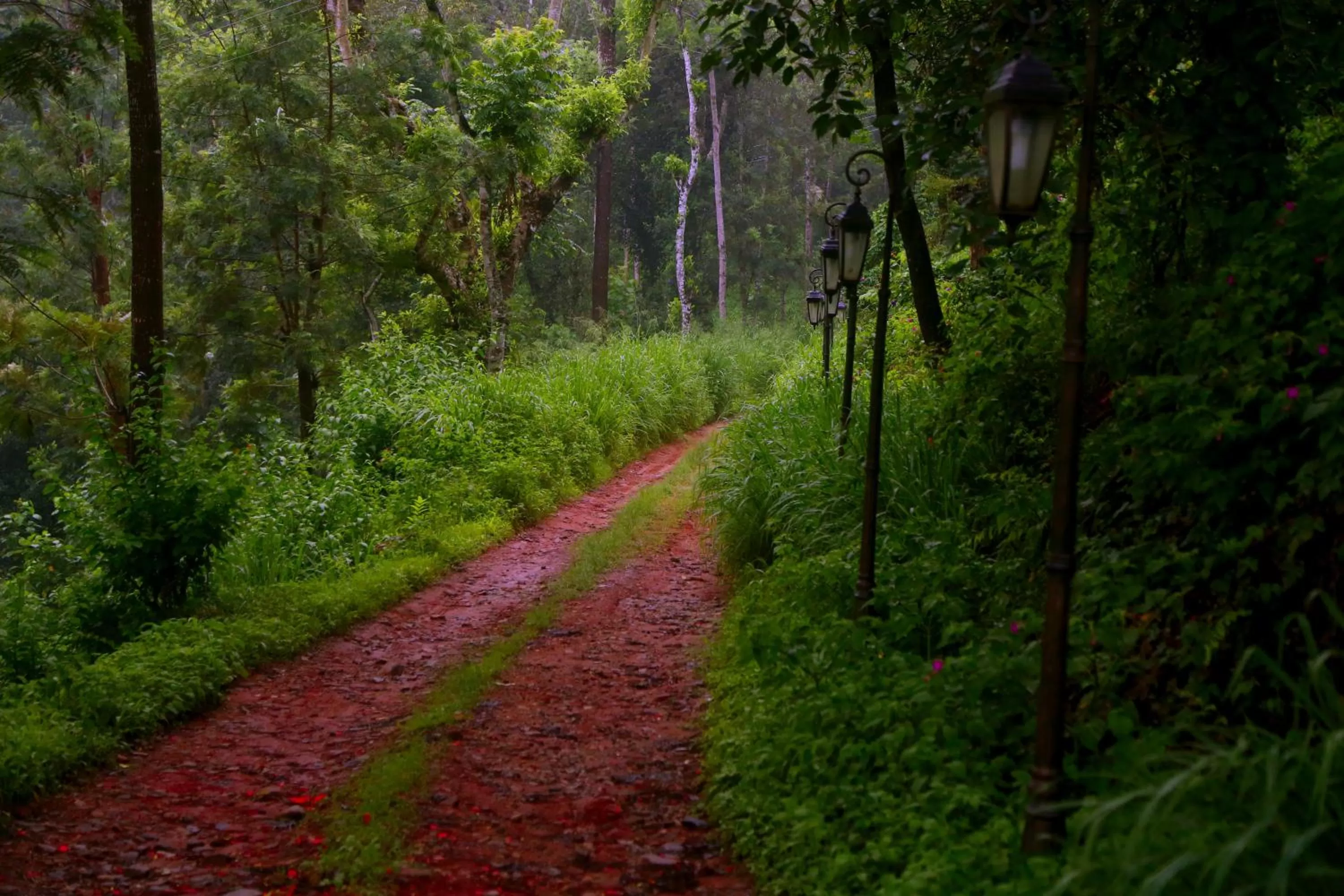 Day in Old Kent Estates & Spa, Coorg
