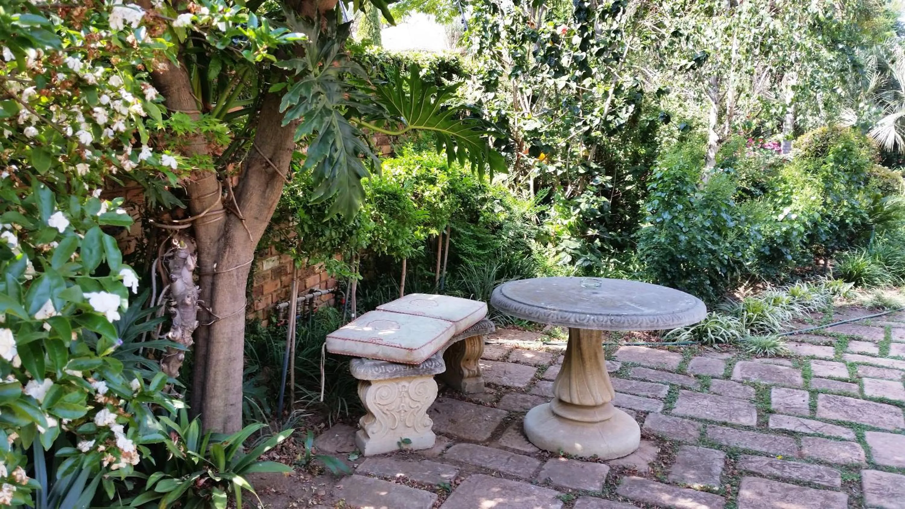 Garden in Royal Ridge Guesthouse